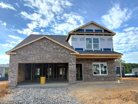 Homes For Sale - 9 Morsel Court Ct<br/> Washington County County, Johnson City, TN 37615