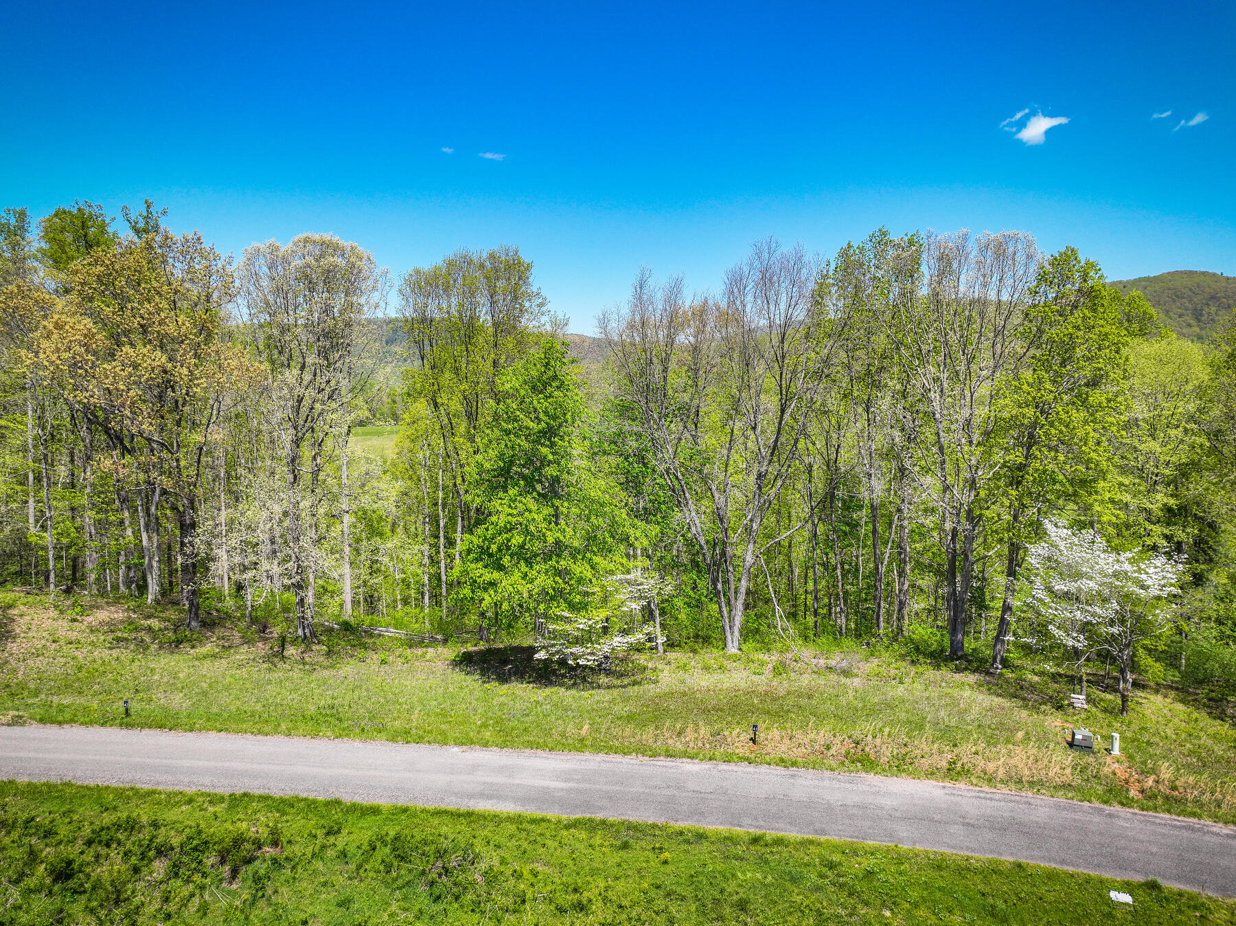 Lot 41 W Of Dry Hill Road, Butler, Tennessee image 1