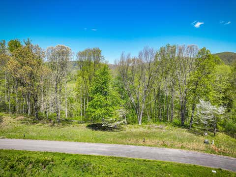 Vacant Land For Sale - LOT 41 W Of Dry Hill Road<br/> Butler, TN 37640