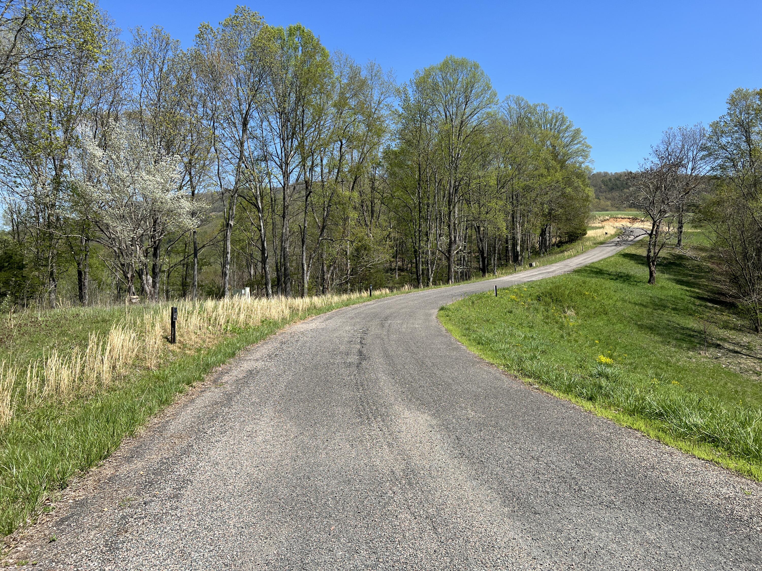Lot 41 W Of Dry Hill Road, Butler, Tennessee image 16