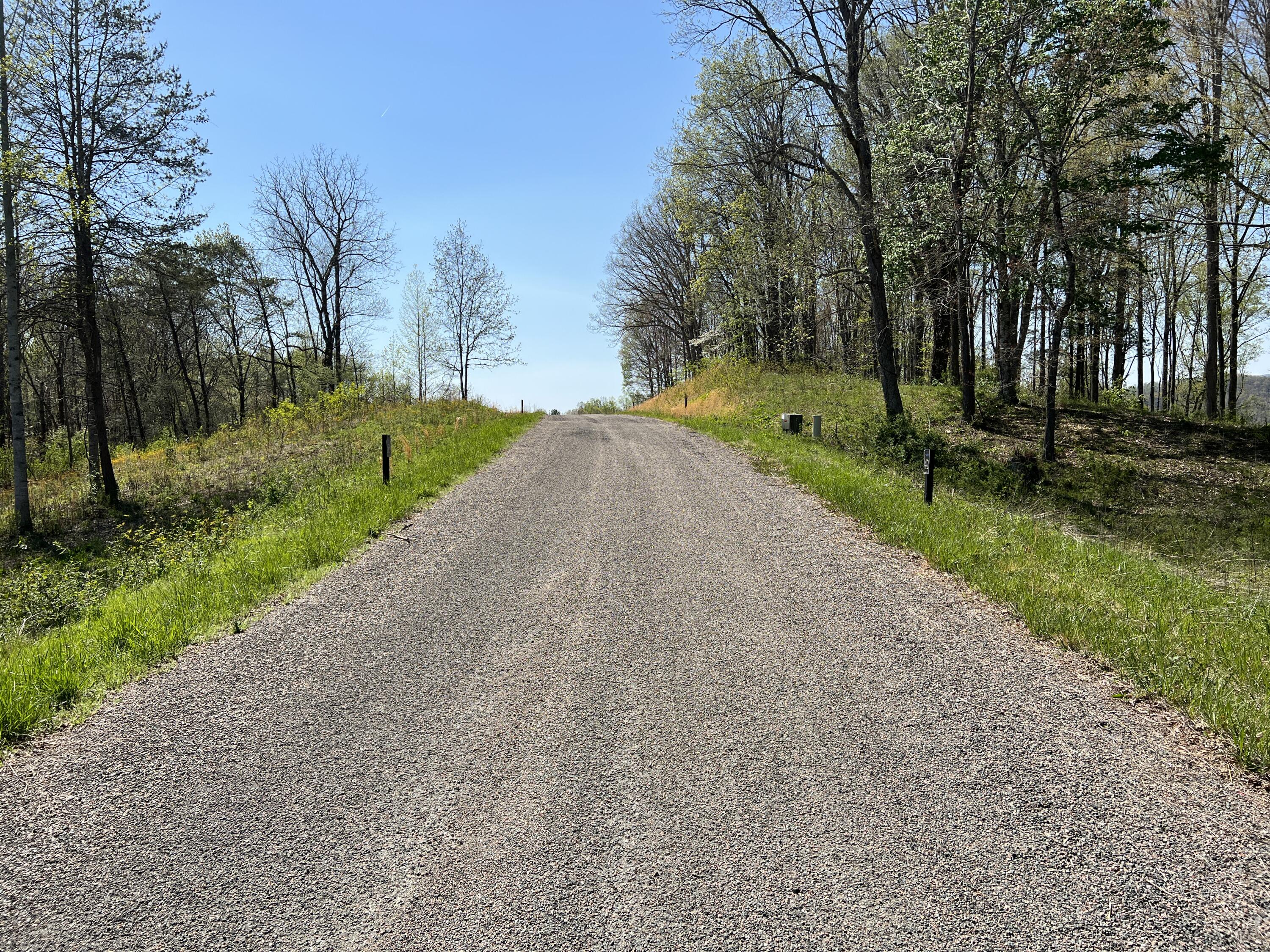 Lot 41 W Of Dry Hill Road, Butler, Tennessee image 15
