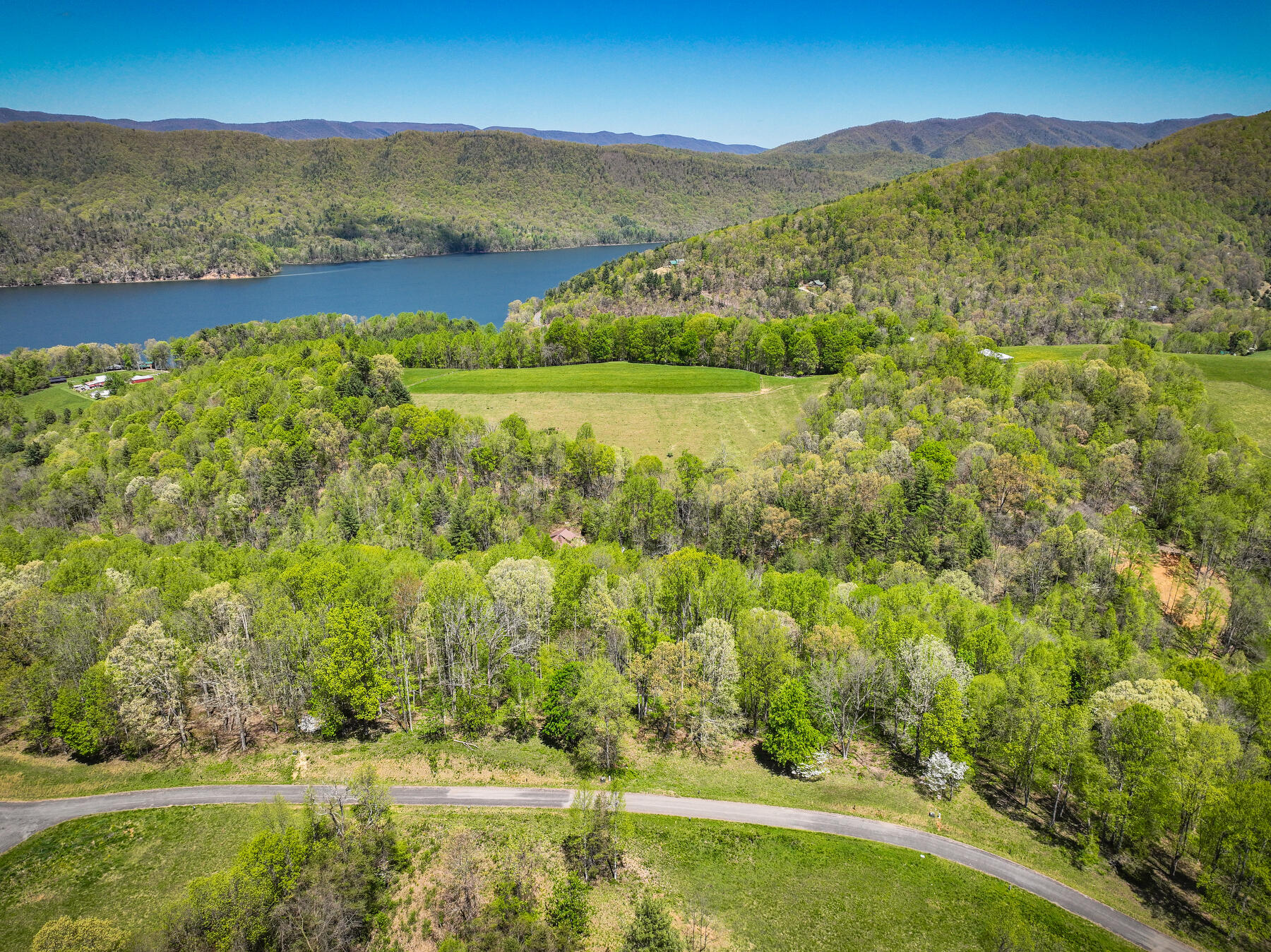 Lot 41 W Of Dry Hill Road, Butler, Tennessee image 6