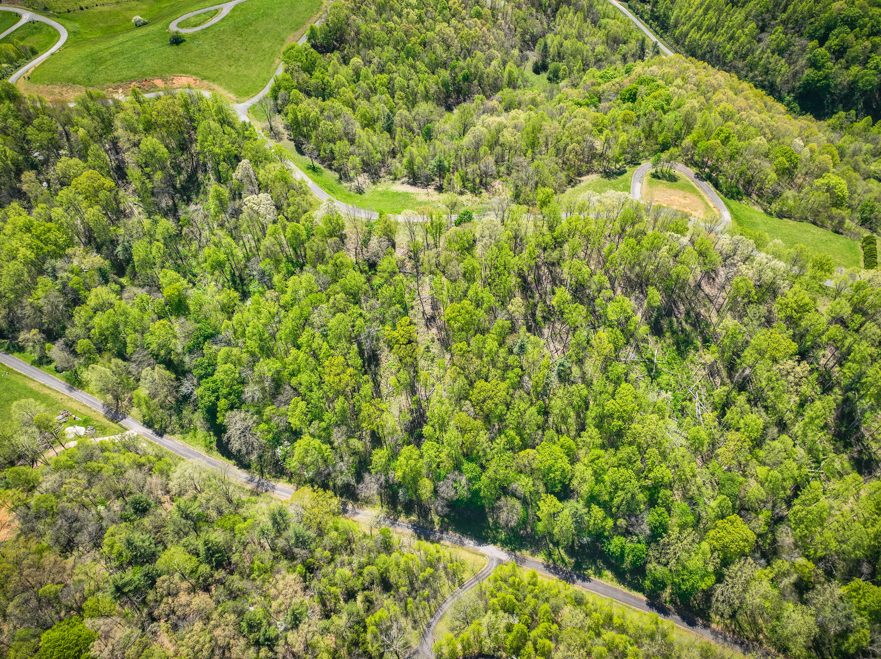 Lot 41 W Of Dry Hill Road, Butler, Tennessee image 7