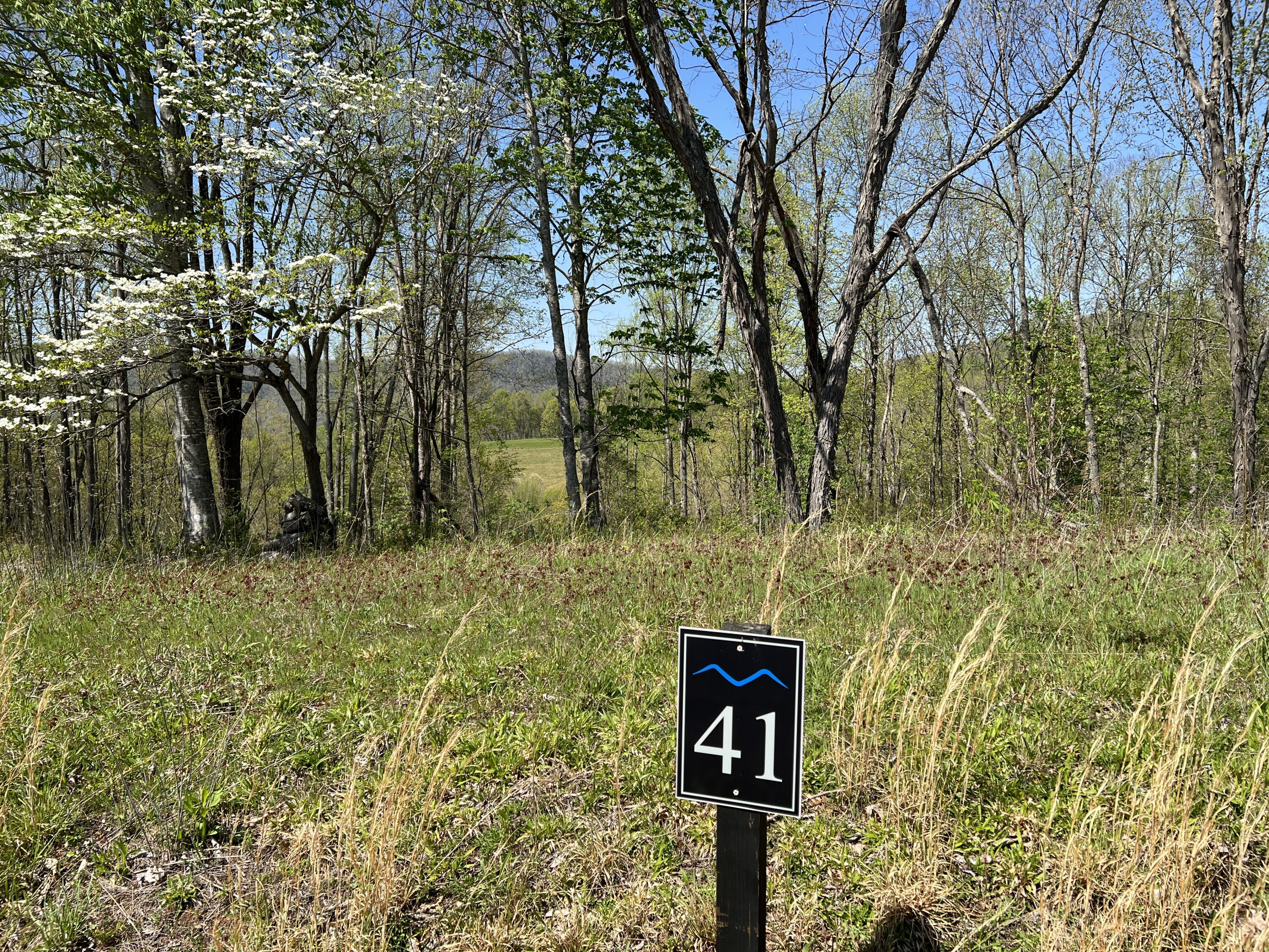 Lot 41 W Of Dry Hill Road, Butler, Tennessee image 10