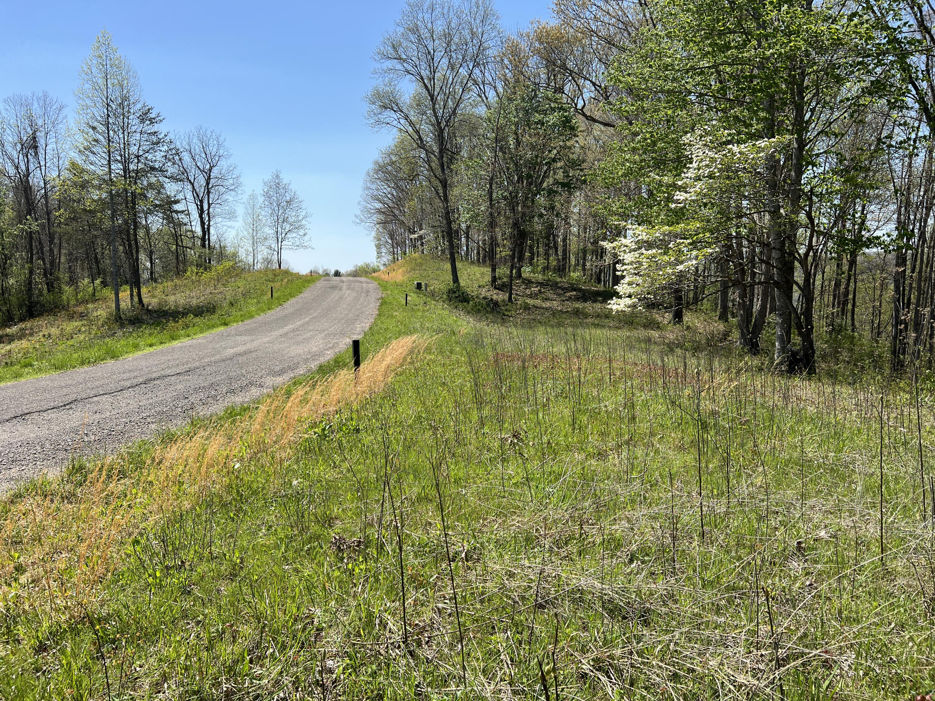 Lot 41 W Of Dry Hill Road, Butler, Tennessee image 14