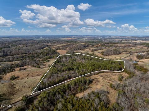 Vacant Land For Sale - TBD Democrat Road<br/> Mohawk, TN 37810