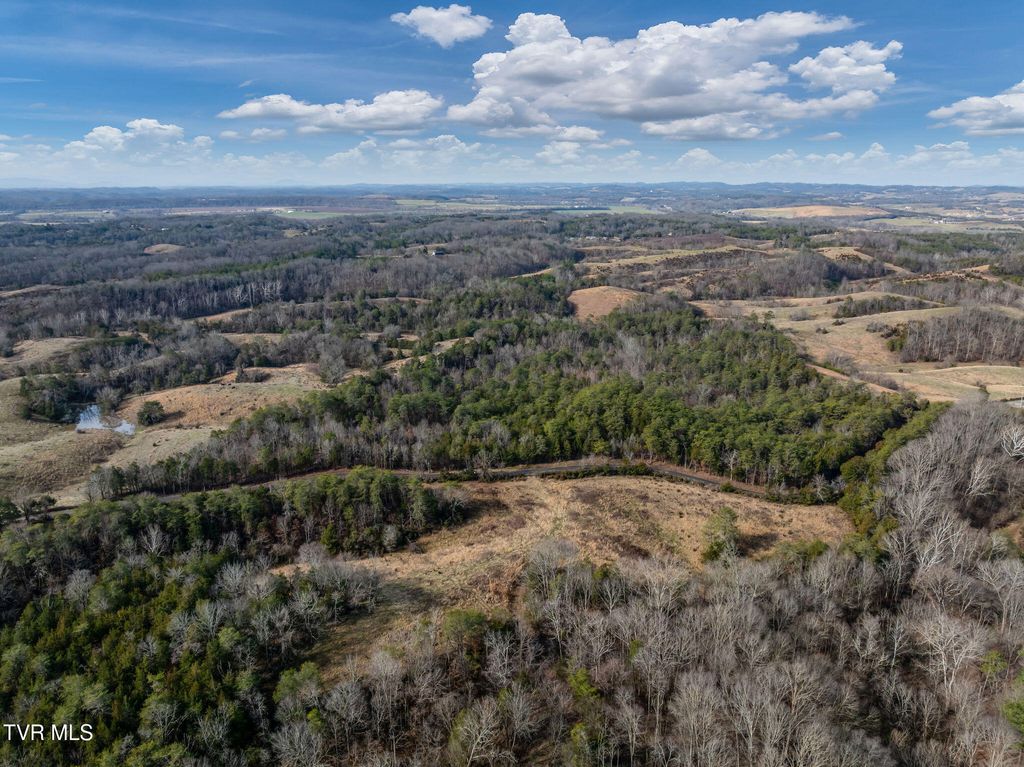 Photo of Tbd Democrat Road, Mohawk, TN 37810 (MLS # 9991513)