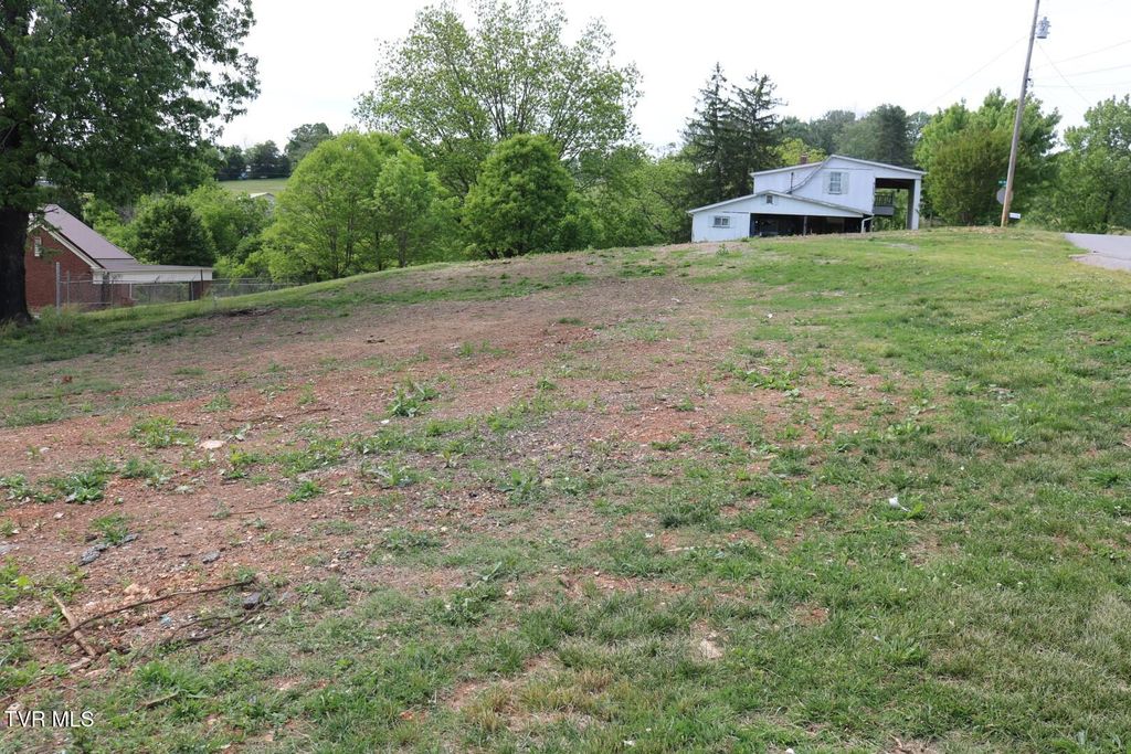 Photo of 950 Main Street, Mosheim, TN 37818 (MLS # 9995579)