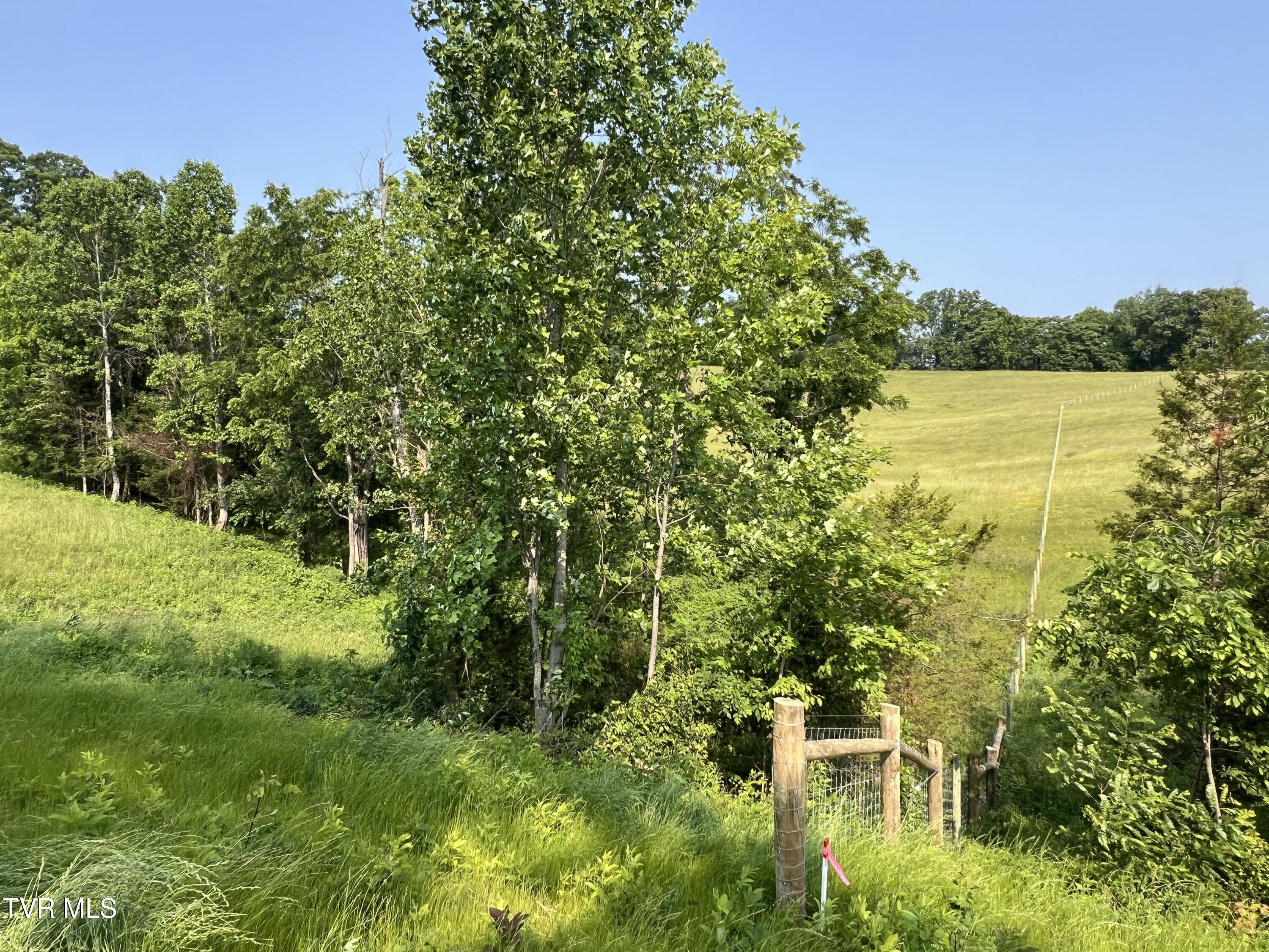 00 Jackson Road #LOT 11, Jonesborough, Tennessee image 7