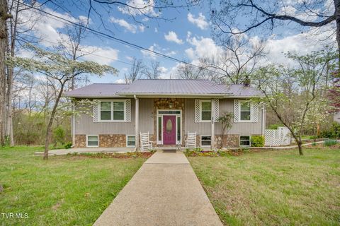 Photo of 101 Hickory Circle, Greeneville, TN 37743 (MLS # 9993403)