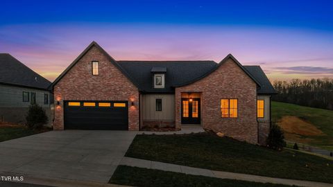 1082 Brumit Fields Johnson City TN 37615