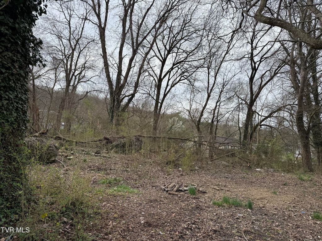 Photo of 5749 Concord Street, Kingsport, TN 37664 (MLS # 9992306)