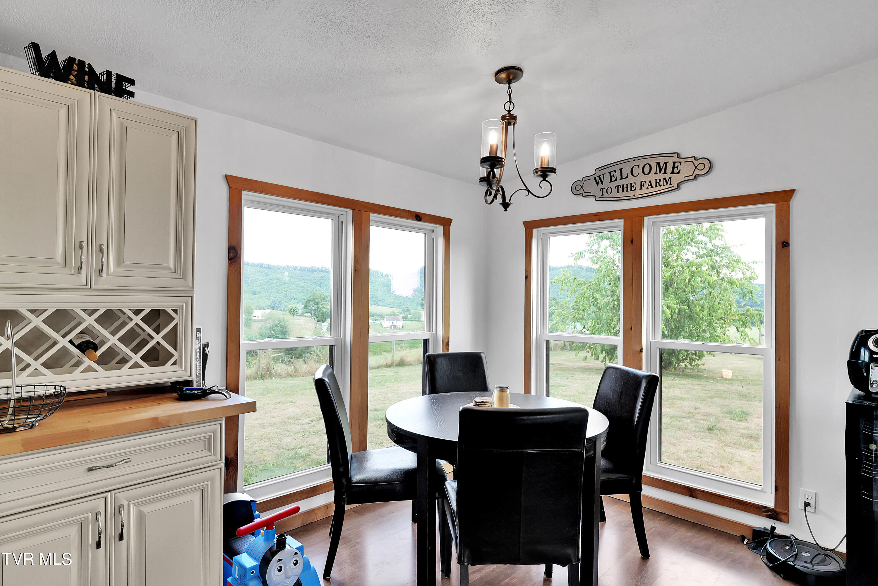 29165 Old Slatworks Road, Meadowview, Virginia image 11