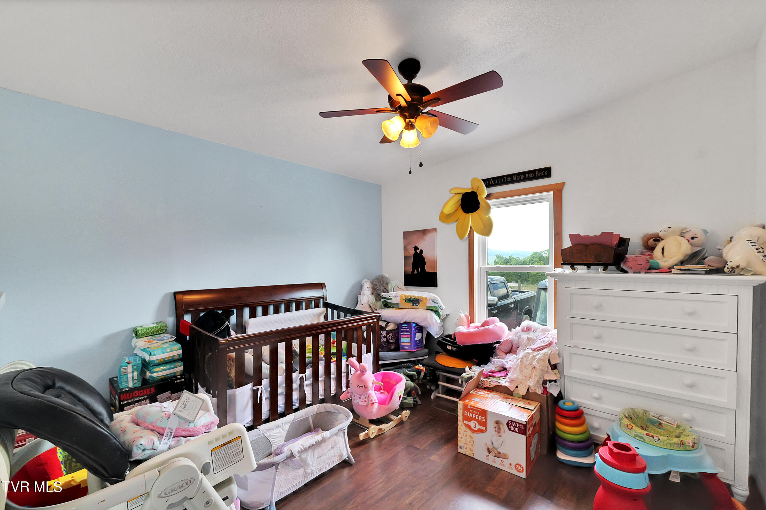 29165 Old Slatworks Road, Meadowview, Virginia image 21