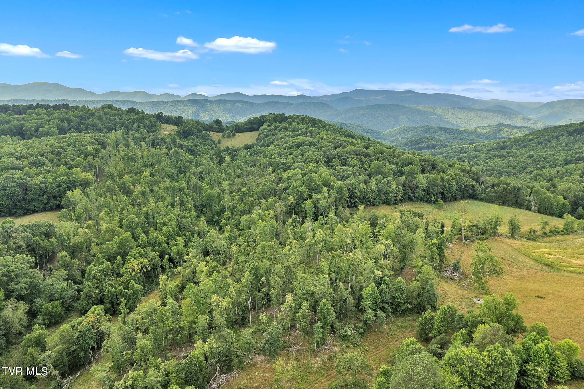 29165 Old Slatworks Road, Meadowview, Virginia image 28