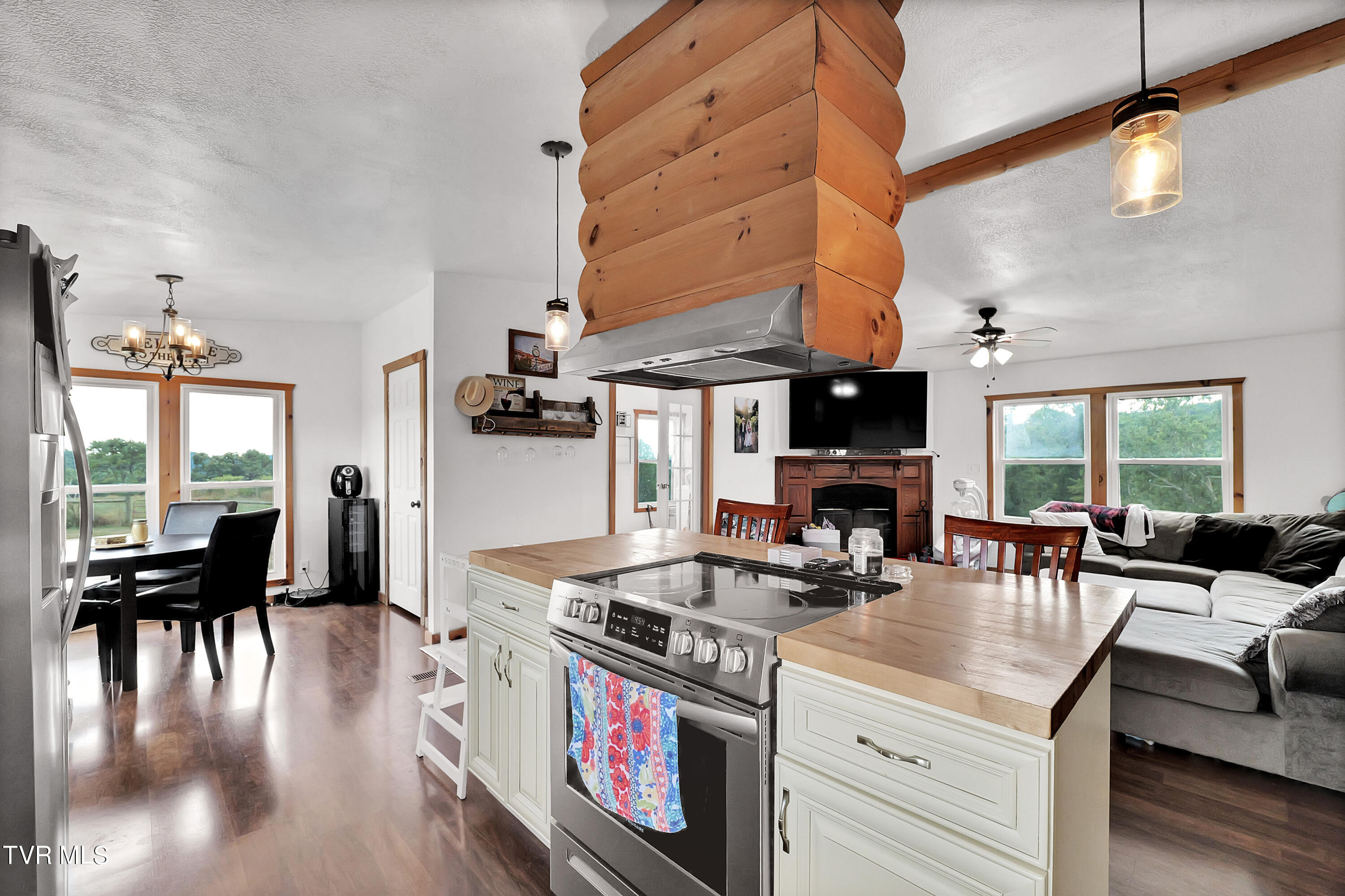 29165 Old Slatworks Road, Meadowview, Virginia image 6
