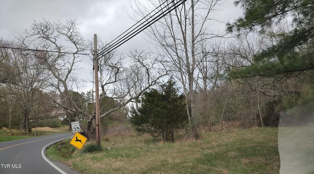 Photo of Tbd Blountville Blvd, Blountville, TN 37617 (MLS # 9992814)