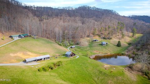 Photo of 341 Hawk Drive, Gate City, VA 24251 (MLS # 9994309)