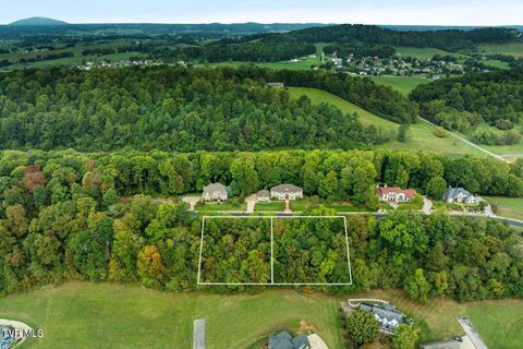 Photo of 9192 Ridgetop Drive, Johnson City, TN 37615 (MLS # 9995171)