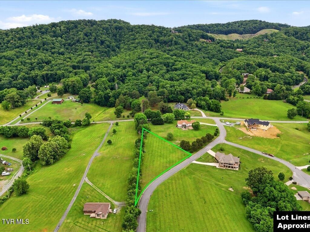 Photo of 2014 Lake Vista Court, Mooresburg, TN 37811 (MLS # 9996087)