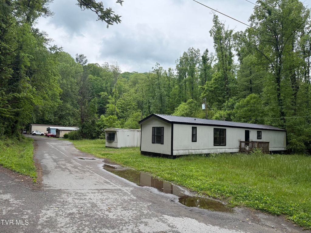 Photo of 345 Hamblen Street, Big Stone Gap, VA 24219 (MLS # 9995183)