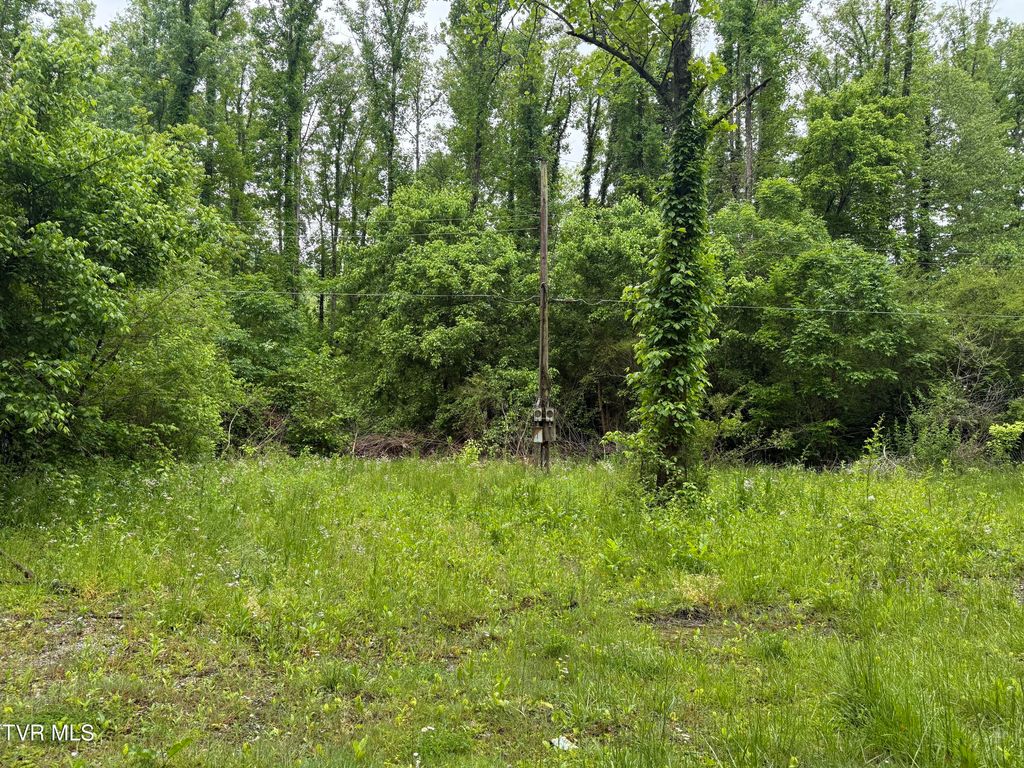 Photo of 345 Hamblen Street, Big Stone Gap, VA 24219 (MLS # 9995183)