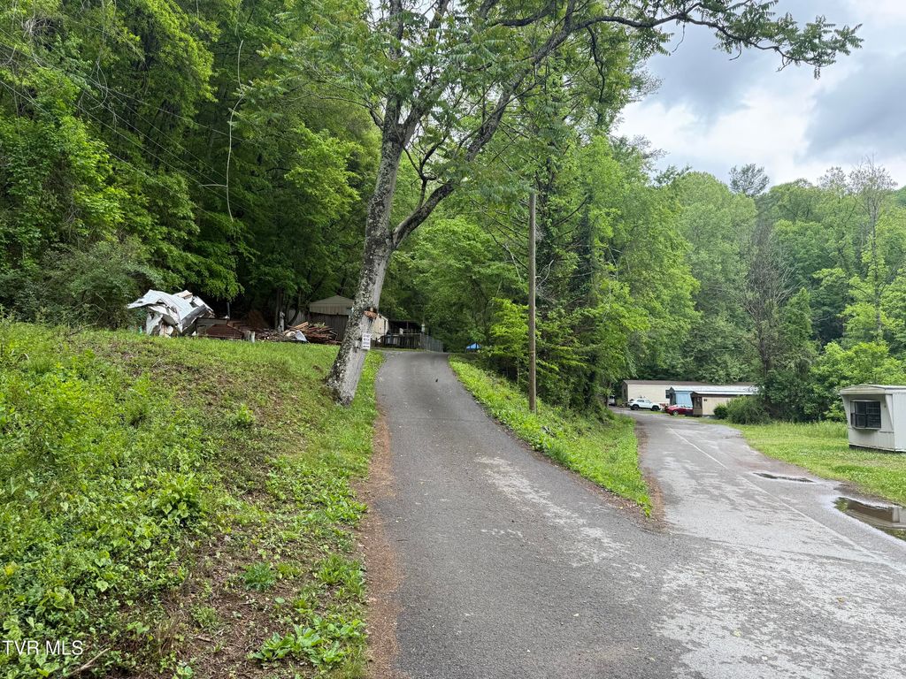 Photo of 345 Hamblen Street, Big Stone Gap, VA 24219 (MLS # 9995183)