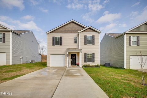 Photo of 535 Cox Hollow Road, Kingsport, TN 37663 (MLS # 9988606)