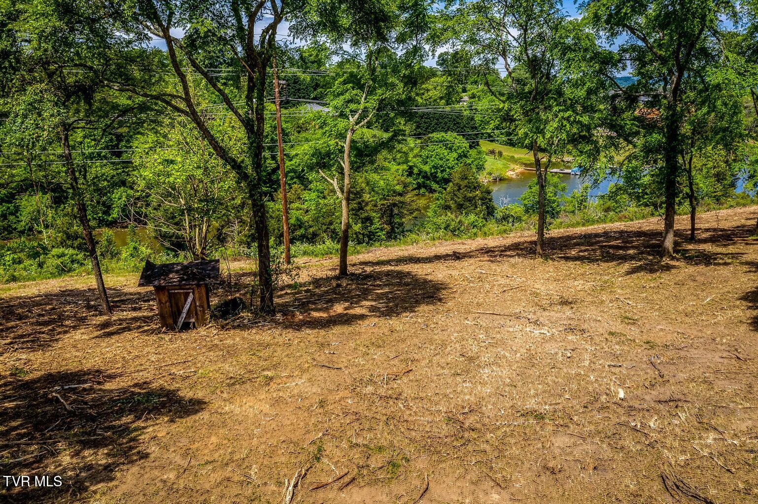 2551 Cedar Creek Road, Russellville, Tennessee image 6