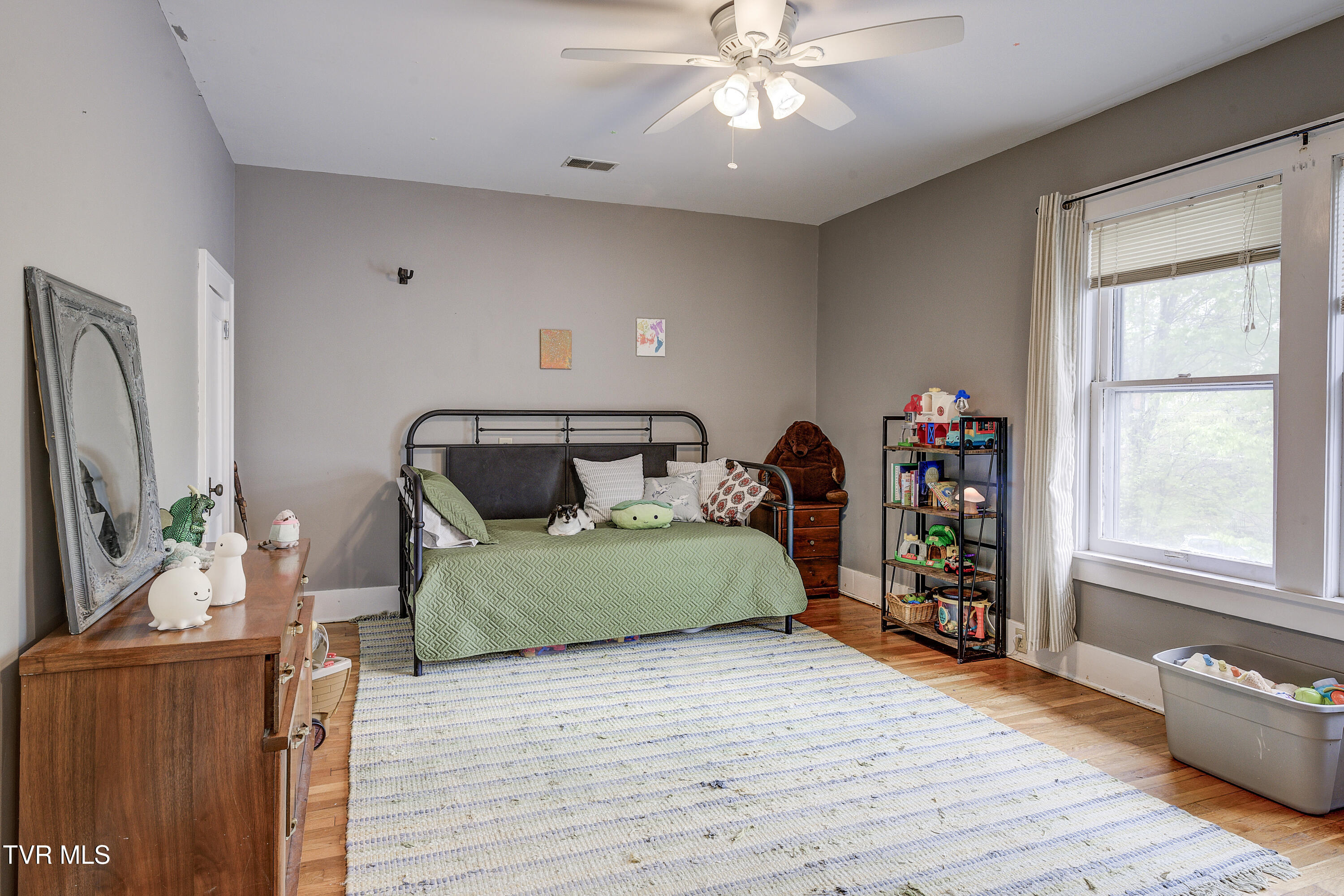 601 Unaka Avenue, Johnson City, Tennessee image 46