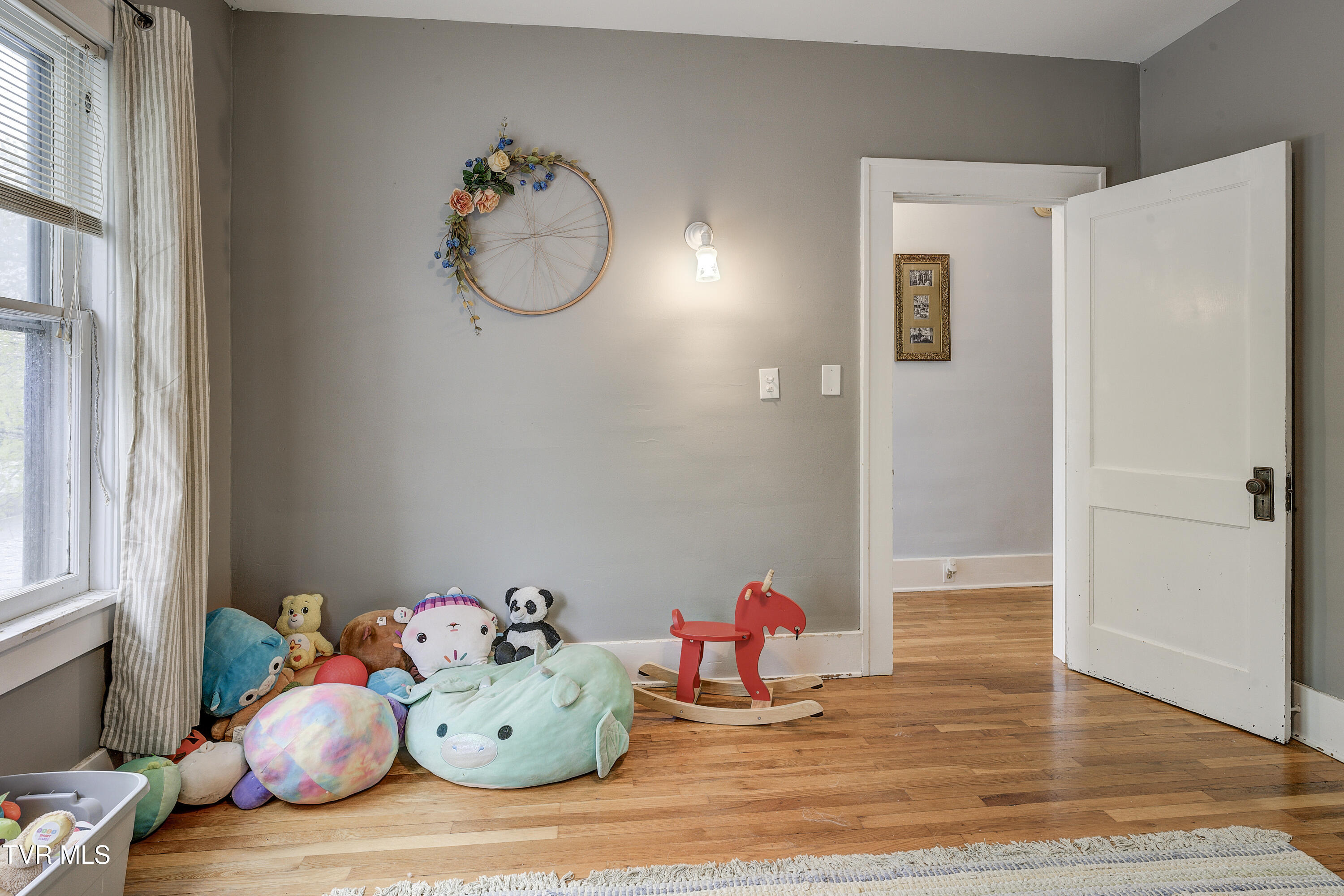 601 Unaka Avenue, Johnson City, Tennessee image 47