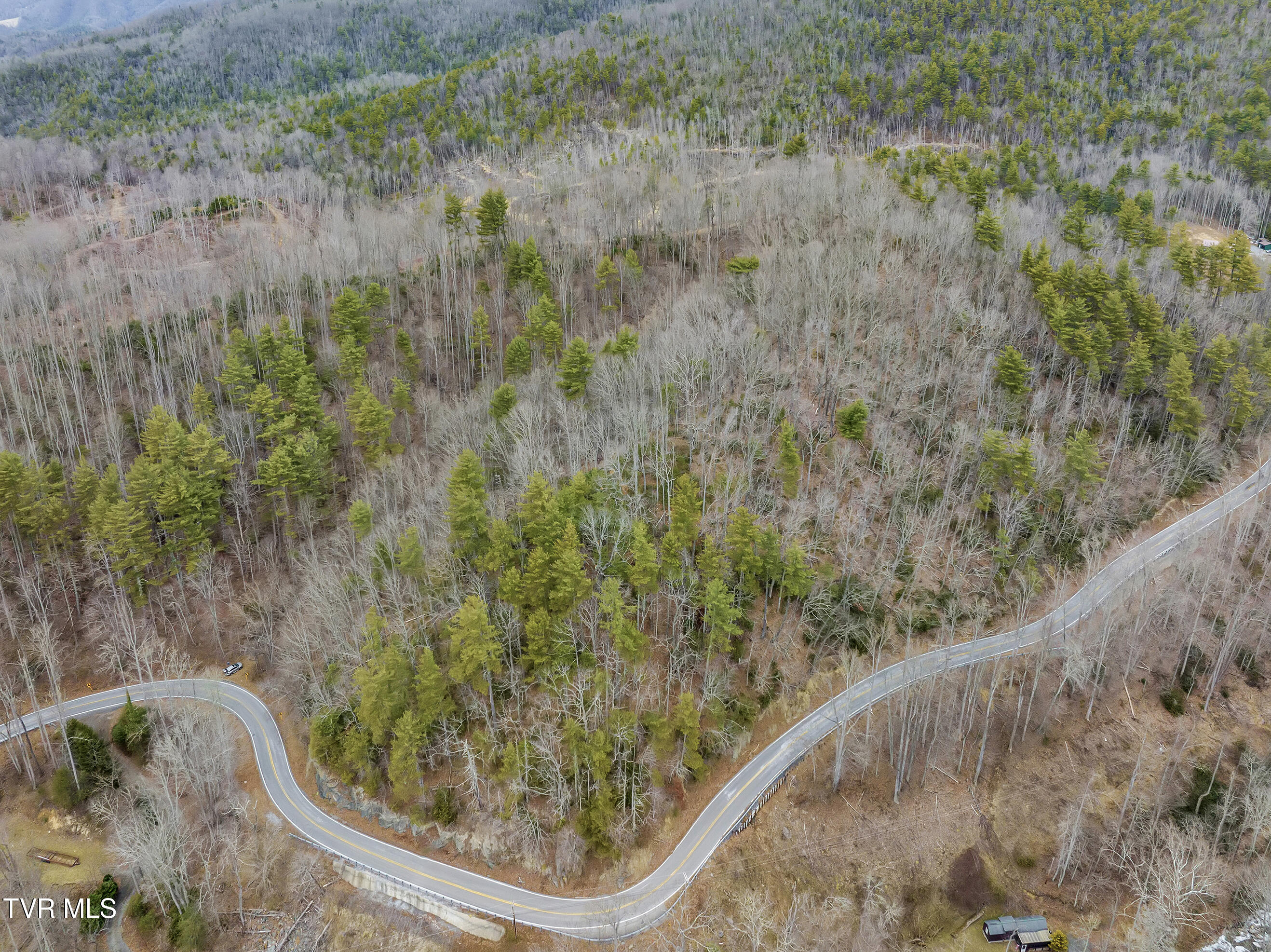 Tbd Spivey Mountain Road, Erwin, Tennessee image 21