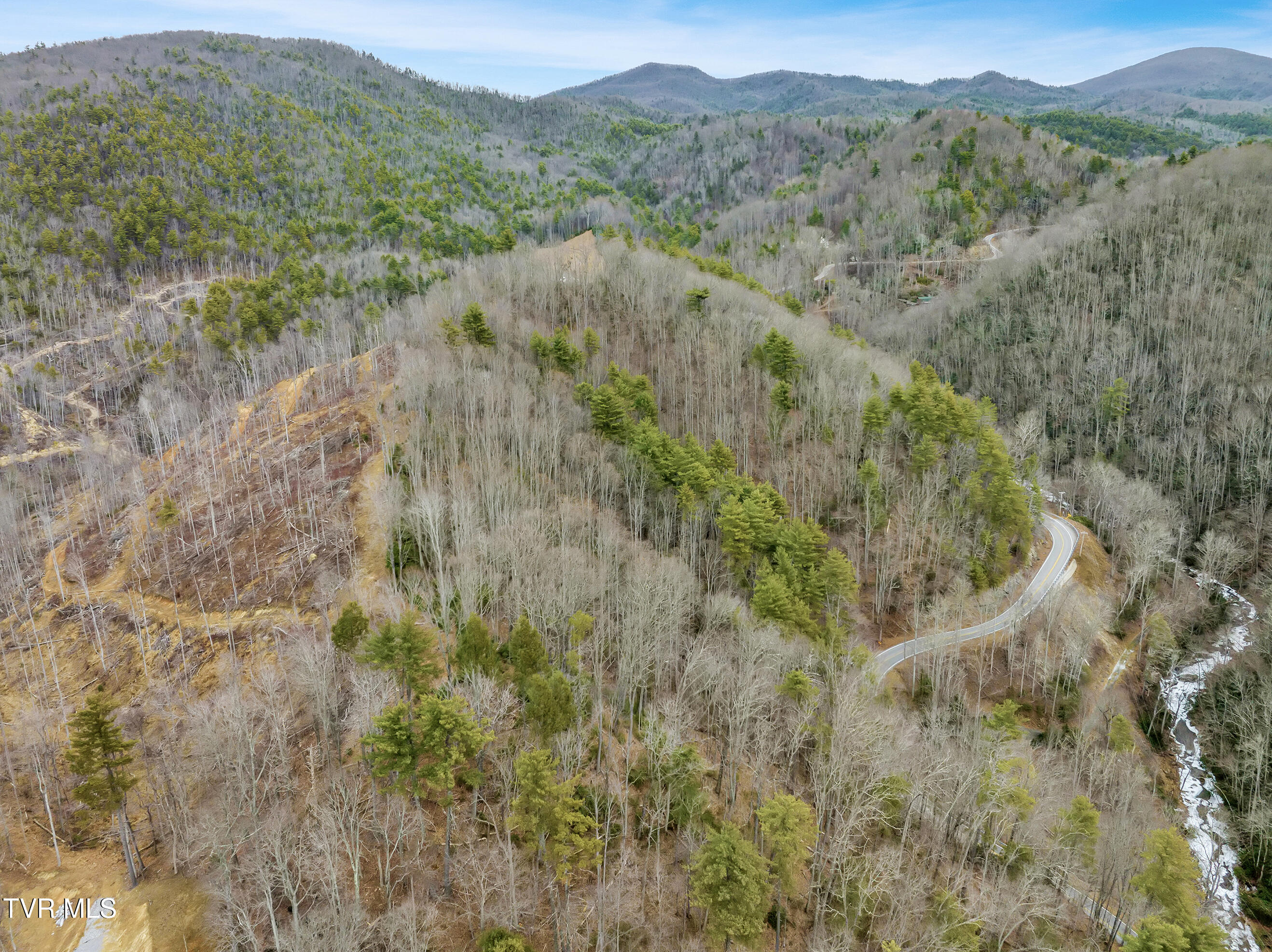 Tbd Spivey Mountain Road, Erwin, Tennessee image 8