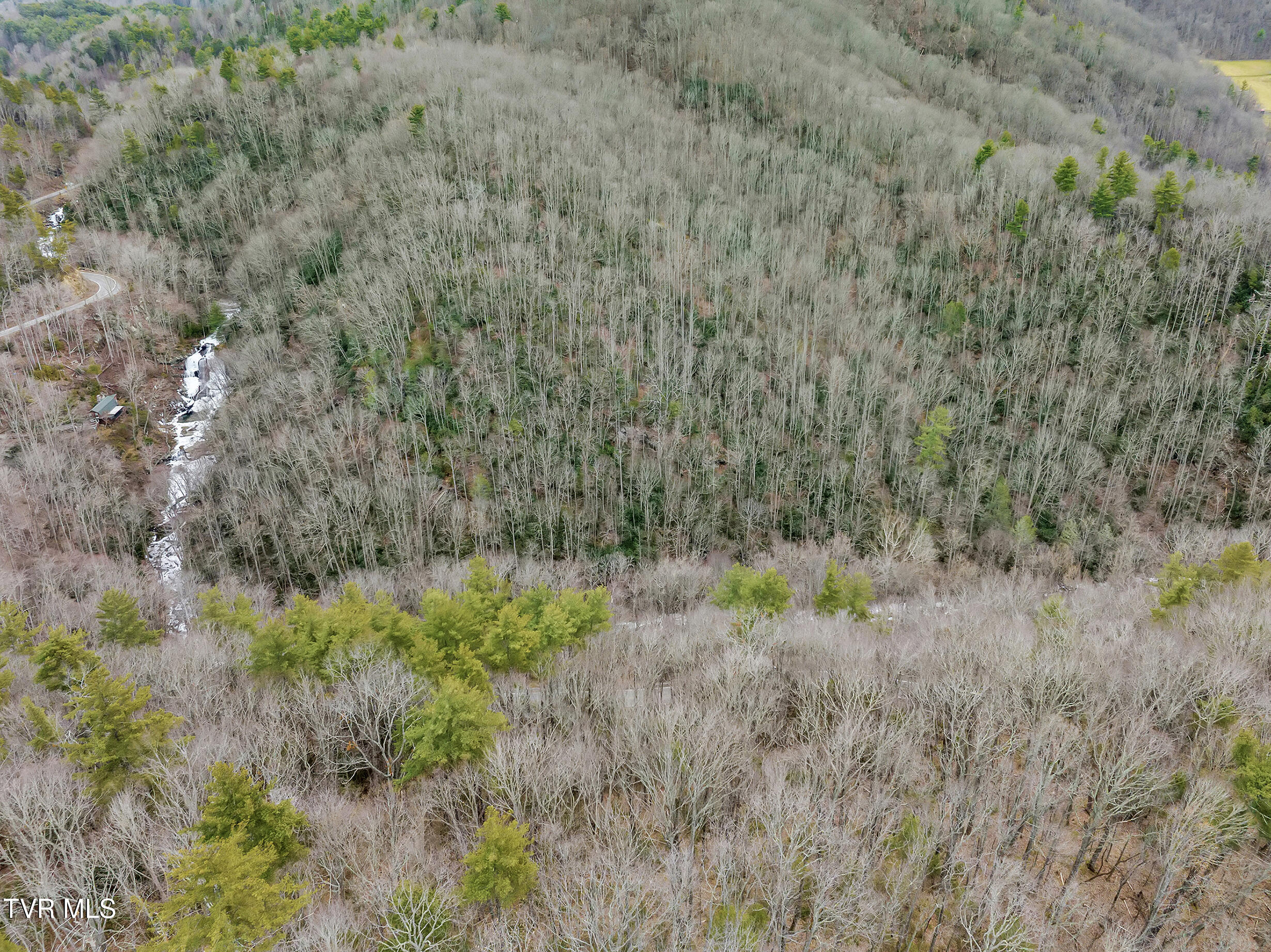 Tbd Spivey Mountain Road, Erwin, Tennessee image 19