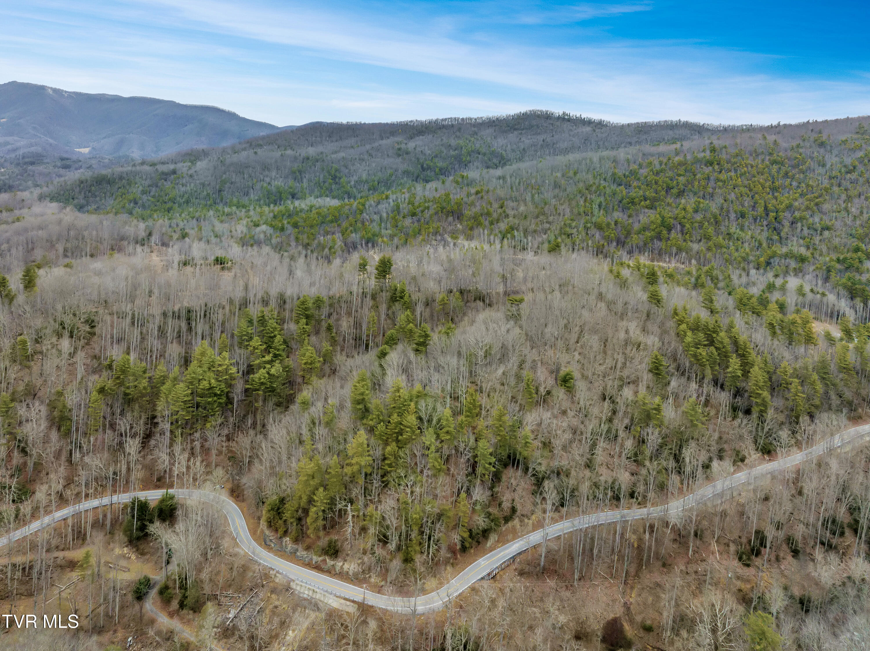 Tbd Spivey Mountain Road, Erwin, Tennessee image 2