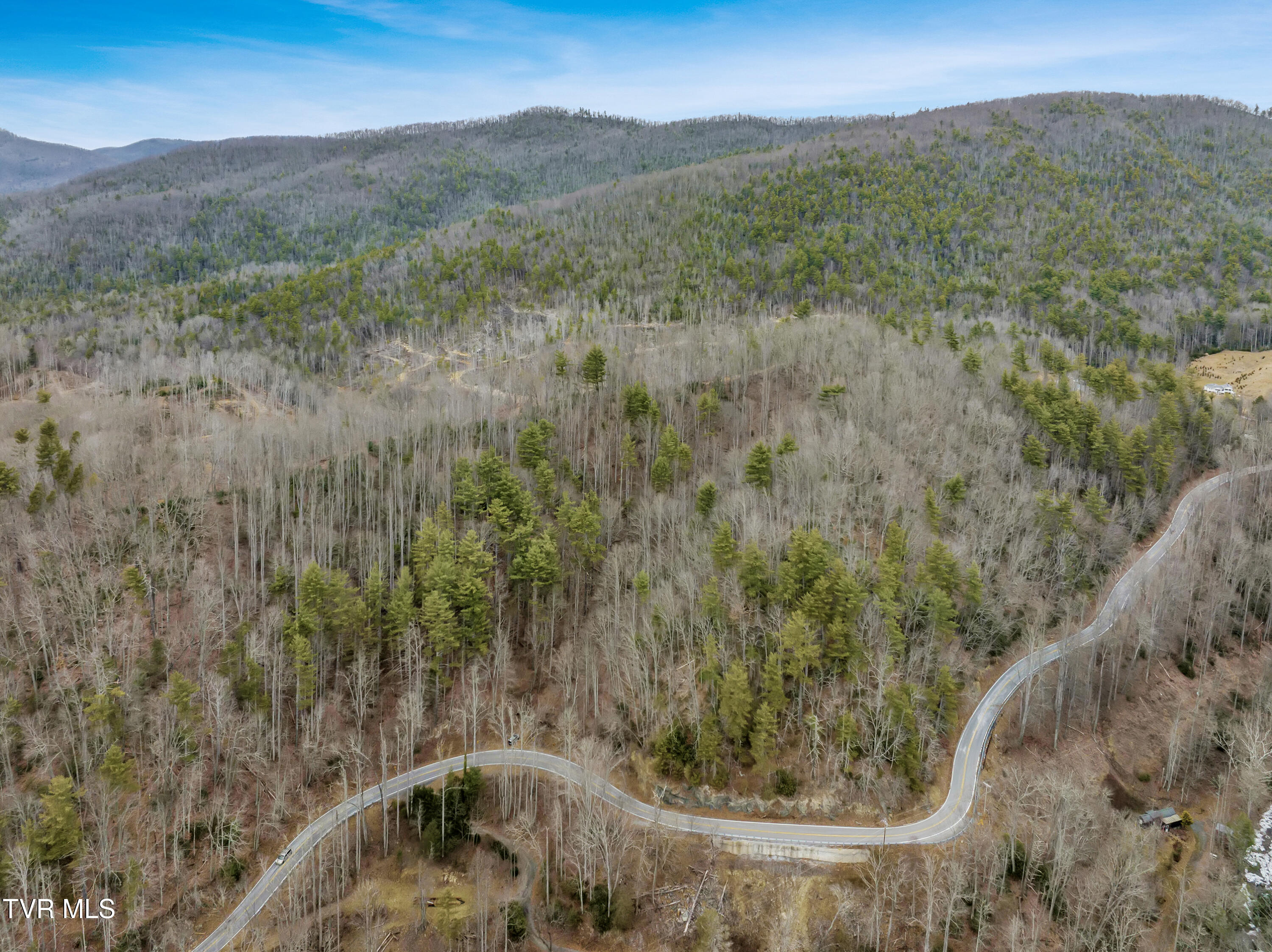 Tbd Spivey Mountain Road, Erwin, Tennessee image 11