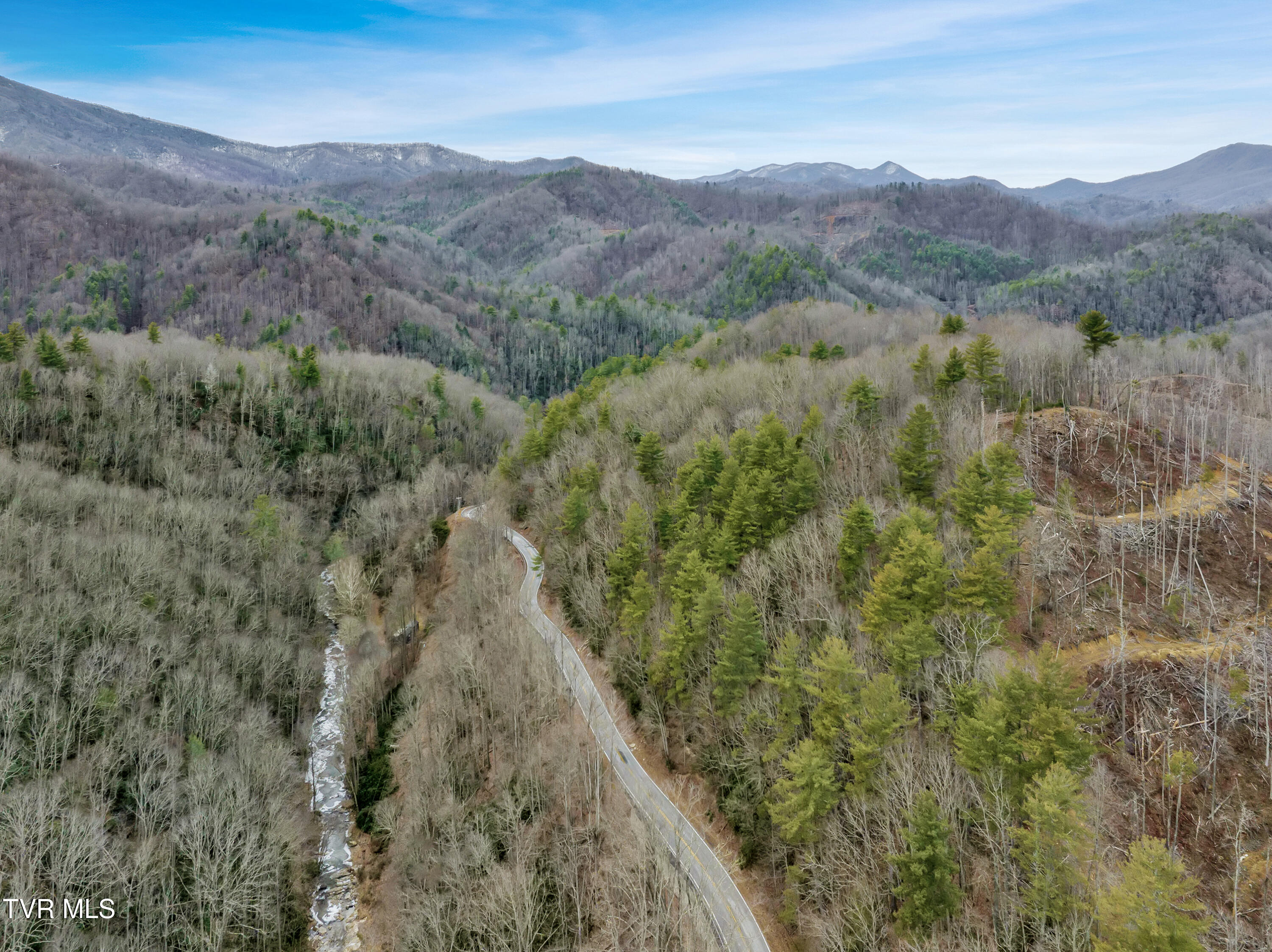Tbd Spivey Mountain Road, Erwin, Tennessee image 15