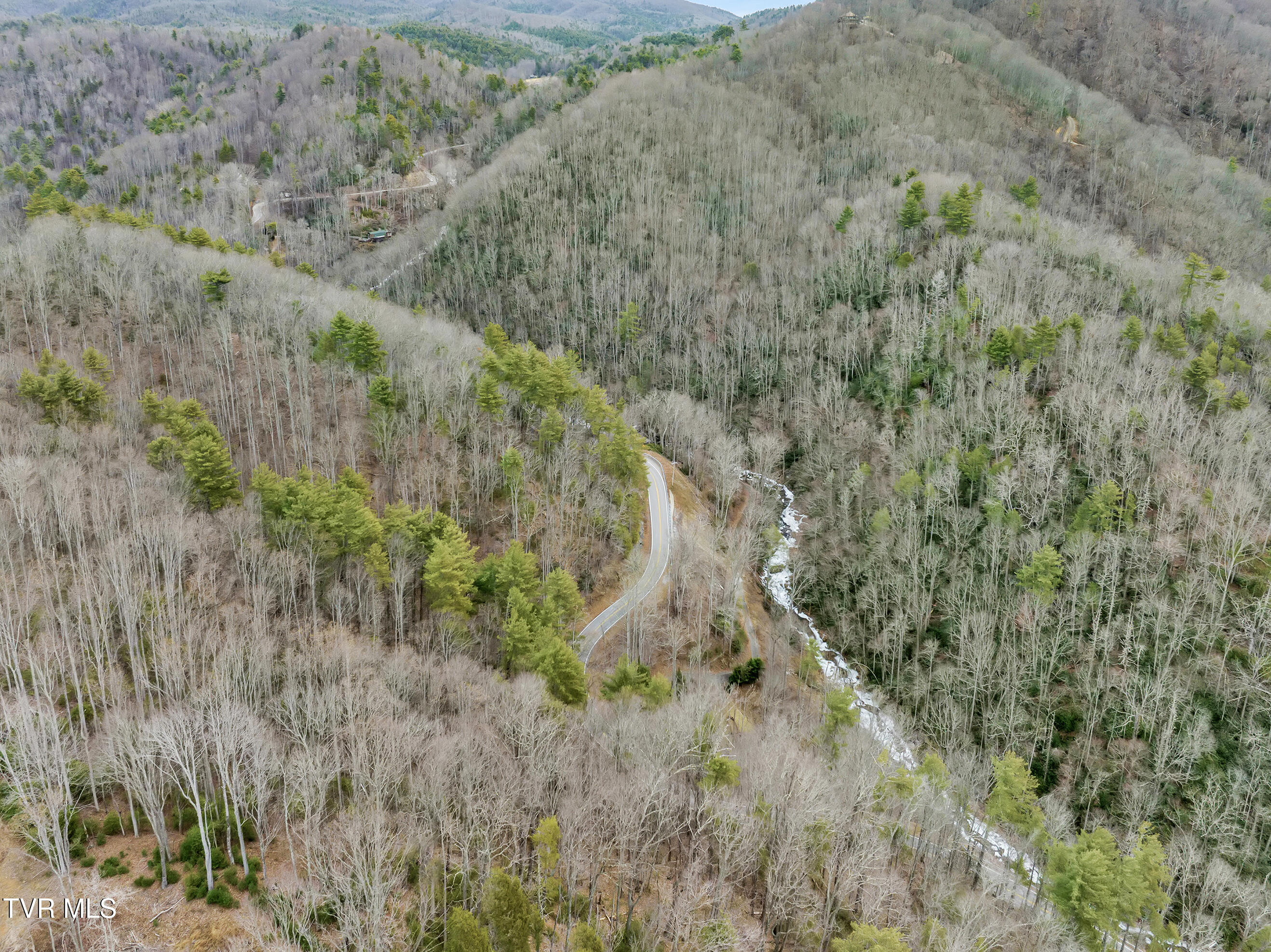 Tbd Spivey Mountain Road, Erwin, Tennessee image 9