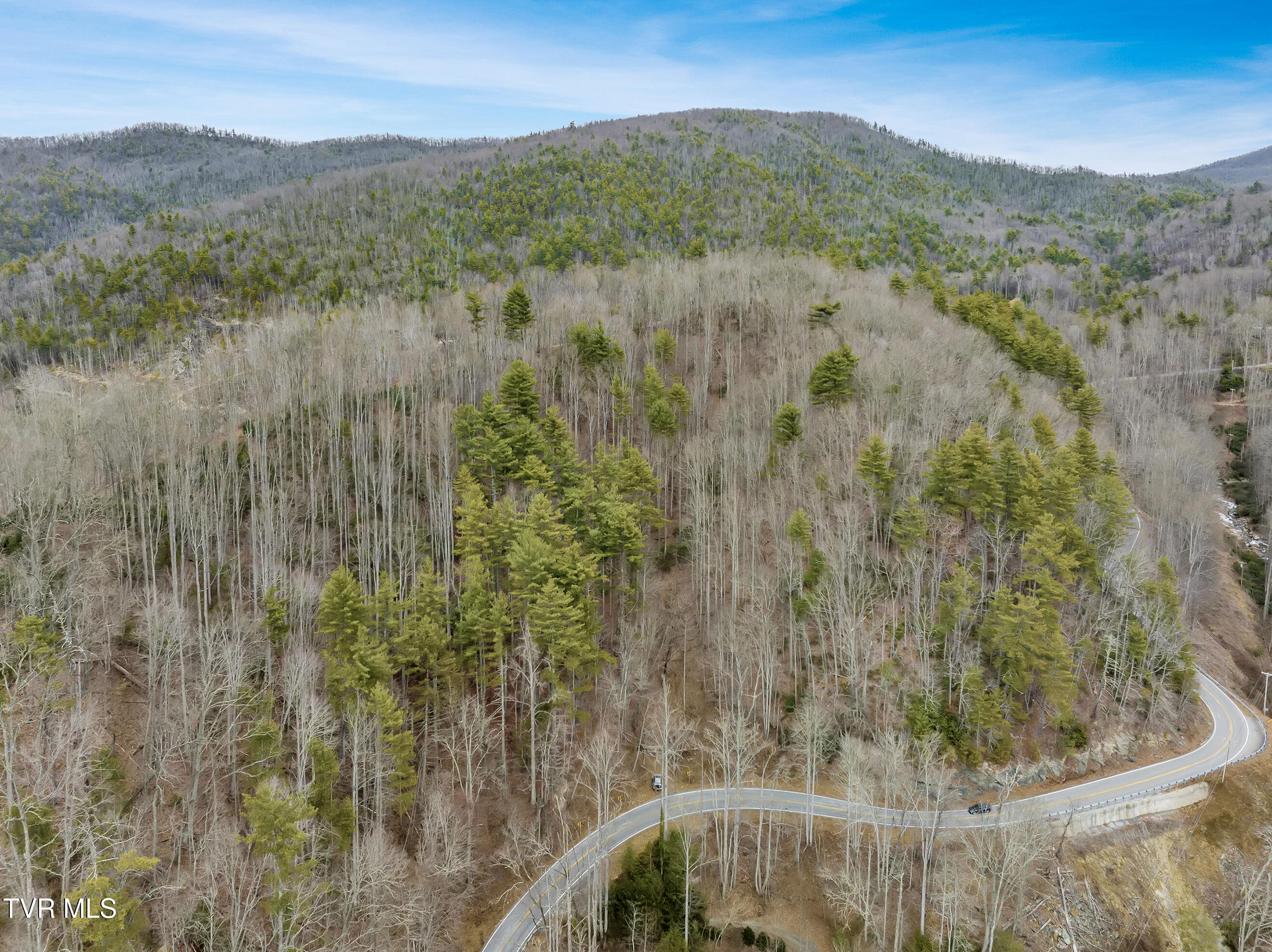 Tbd Spivey Mountain Road, Erwin, Tennessee image 6
