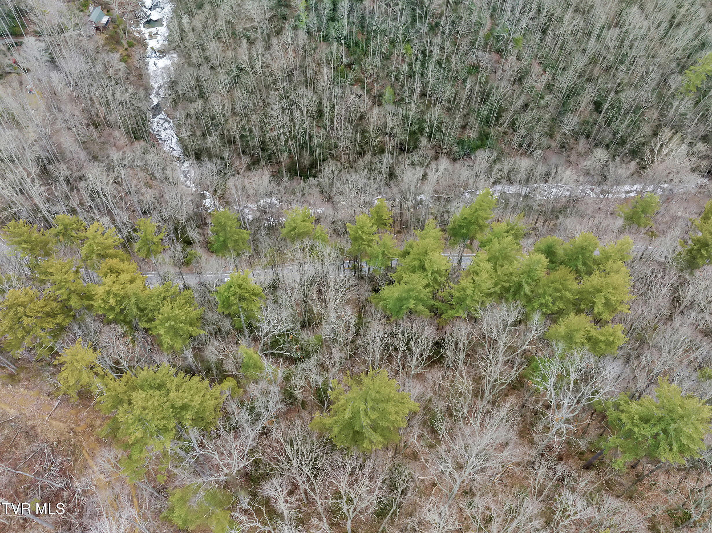 Tbd Spivey Mountain Road, Erwin, Tennessee image 18