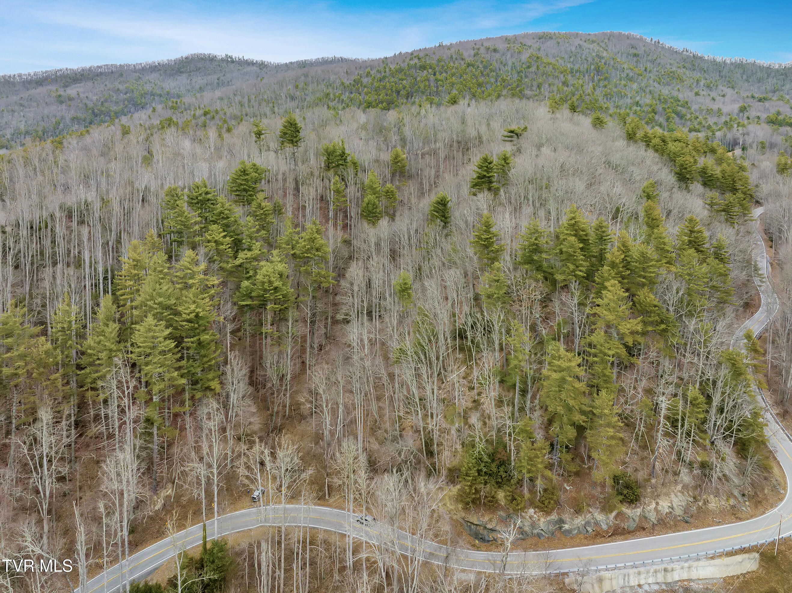 Tbd Spivey Mountain Road, Erwin, Tennessee image 5