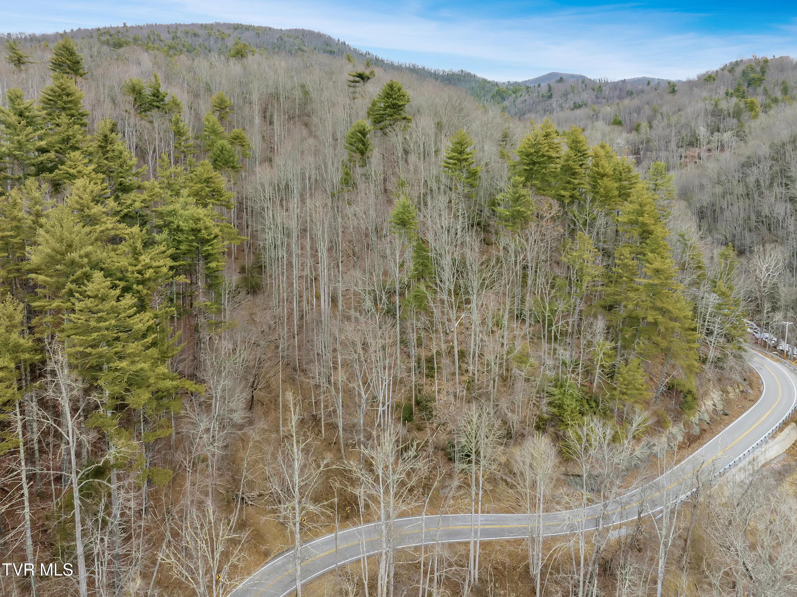 Tbd Spivey Mountain Road, Erwin, Tennessee image 4