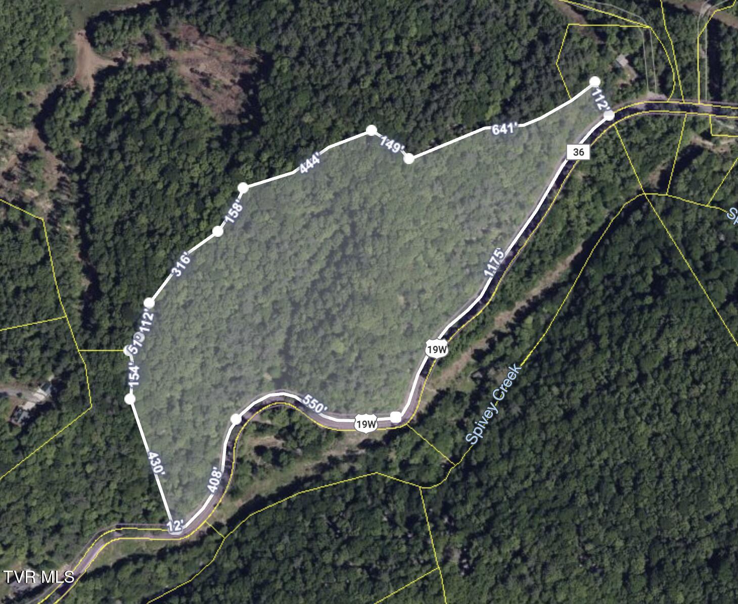 Tbd Spivey Mountain Road, Erwin, Tennessee image 3
