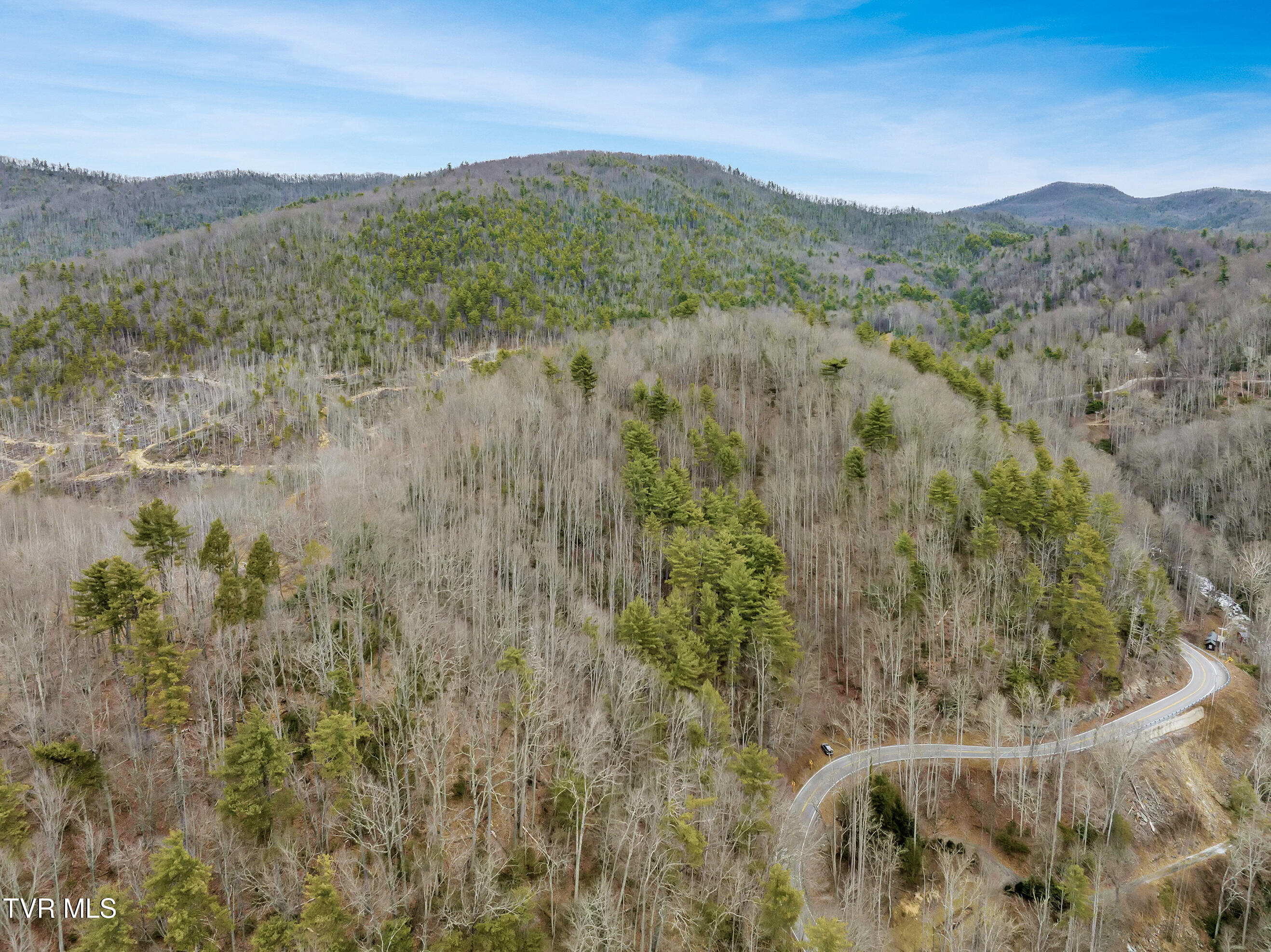 Tbd Spivey Mountain Road, Erwin, Tennessee image 7