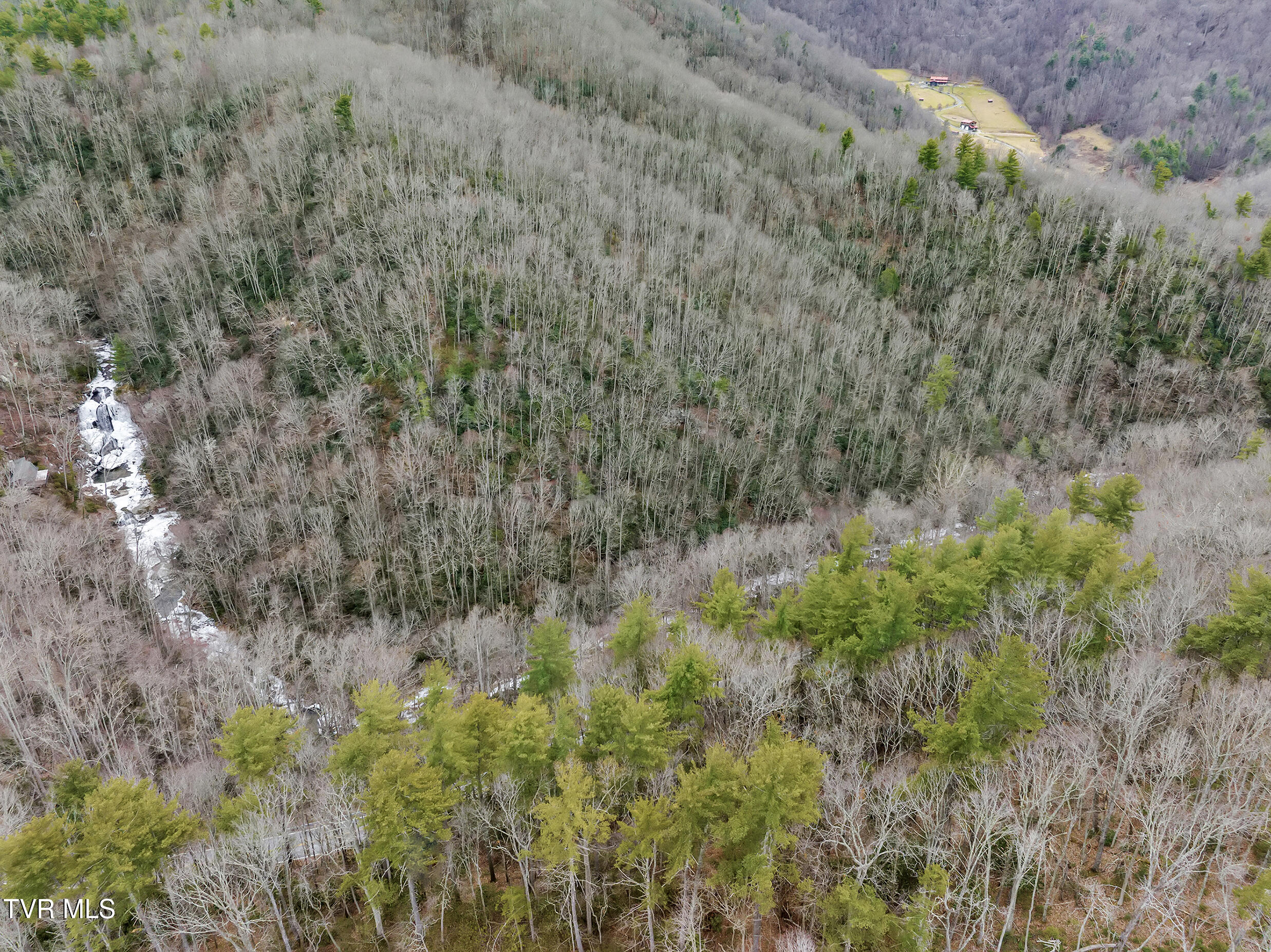Tbd Spivey Mountain Road, Erwin, Tennessee image 17