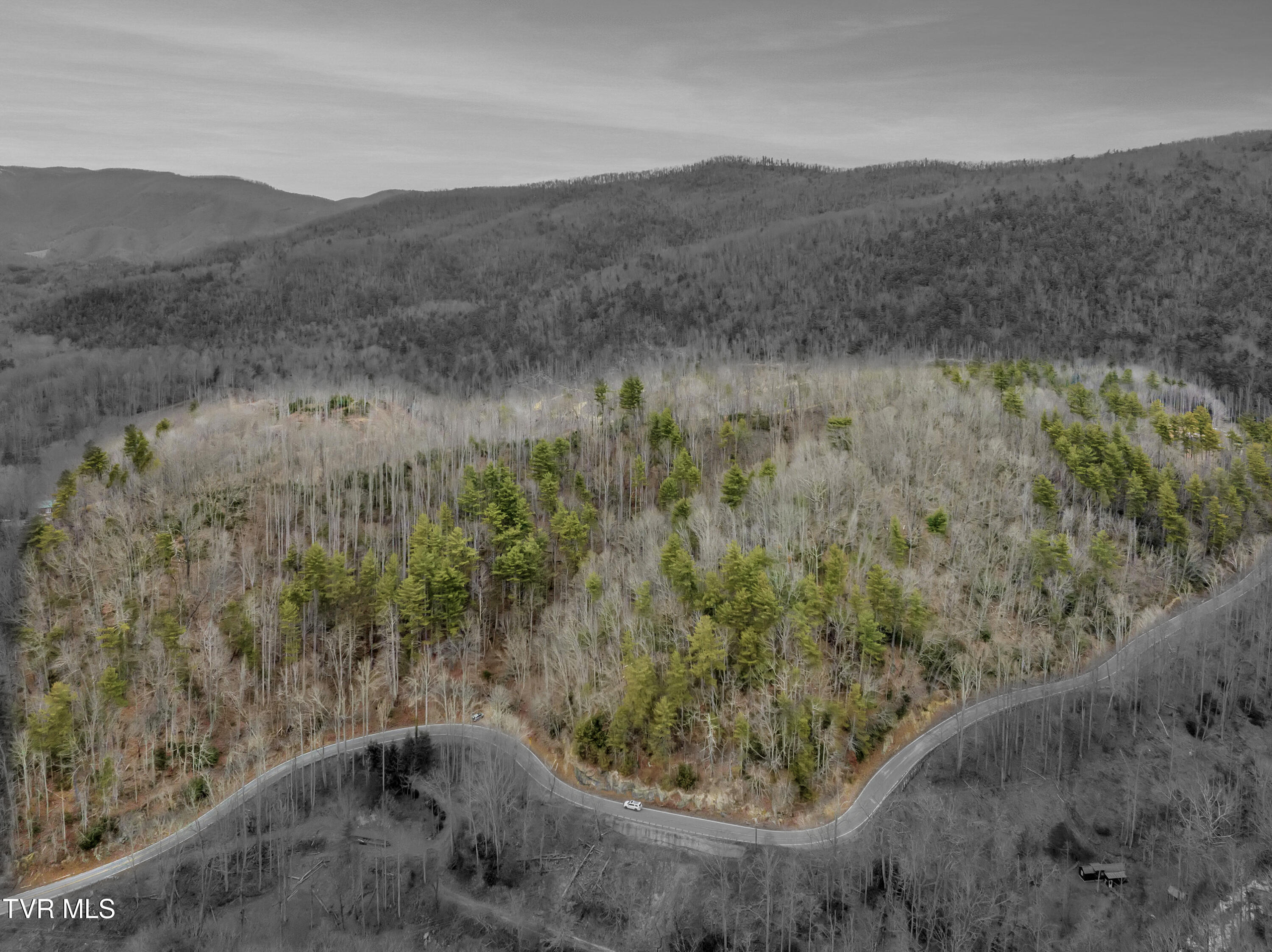 Tbd Spivey Mountain Road, Erwin, Tennessee image 1