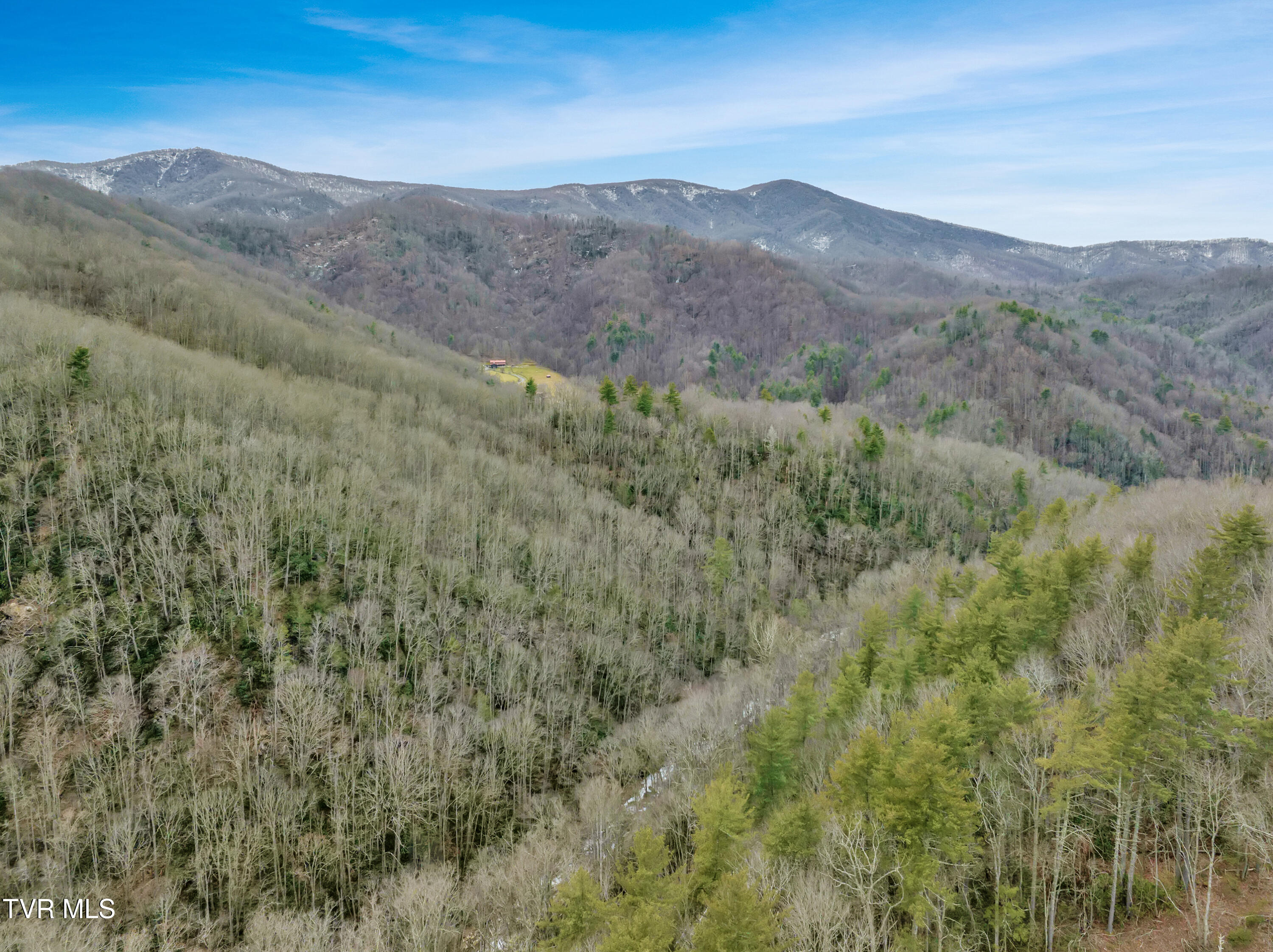 Tbd Spivey Mountain Road, Erwin, Tennessee image 16