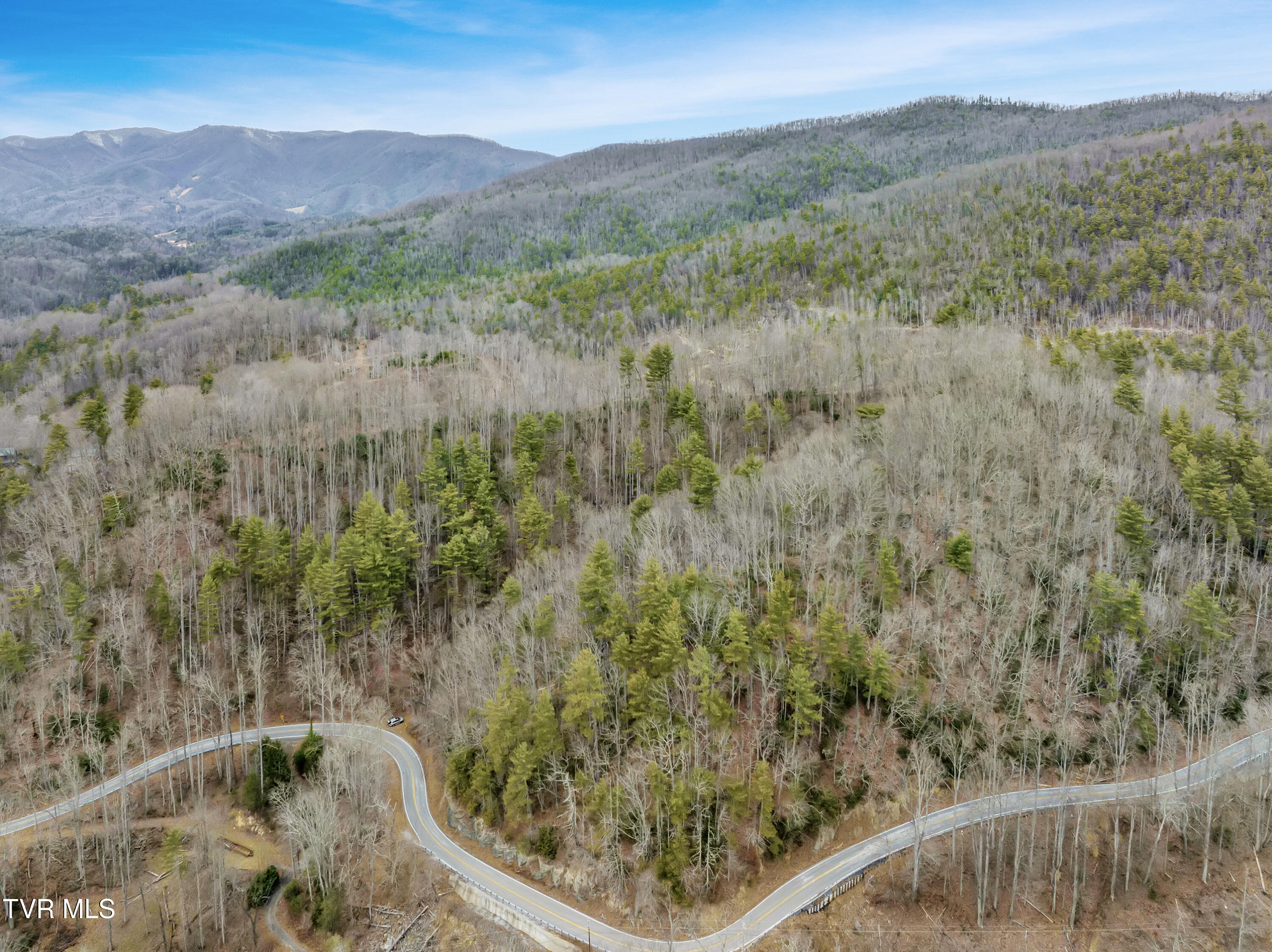 Tbd Spivey Mountain Road, Erwin, Tennessee image 12