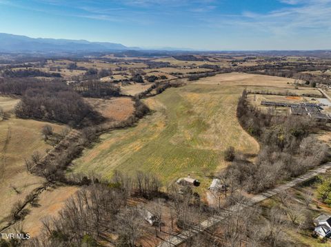 Vacant Land For Sale - TBD Old State Route 34<br/> Limestone, TN 37681