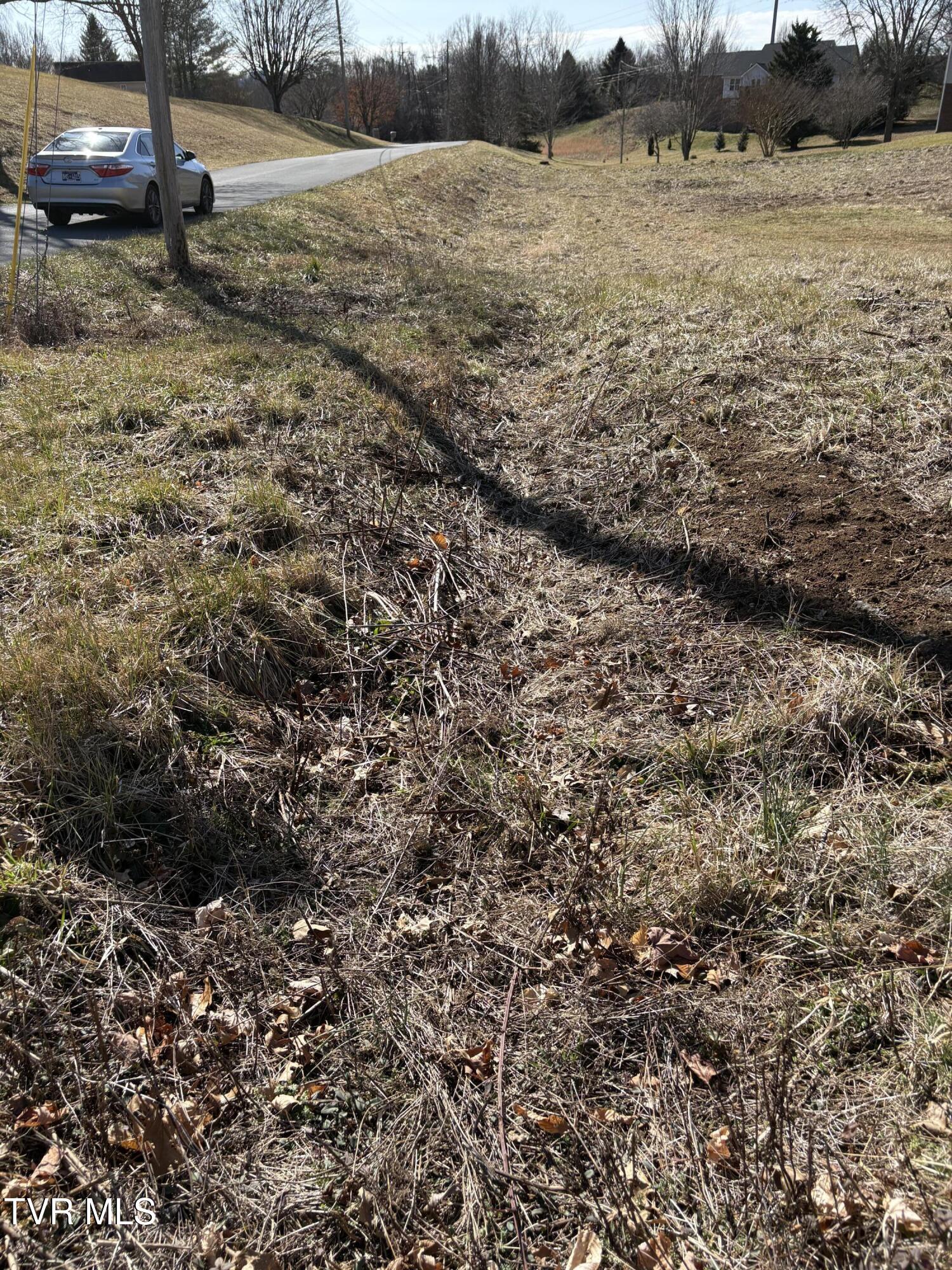 Park Dr & Silver Maple Drive, Jonesborough, Tennessee image 4